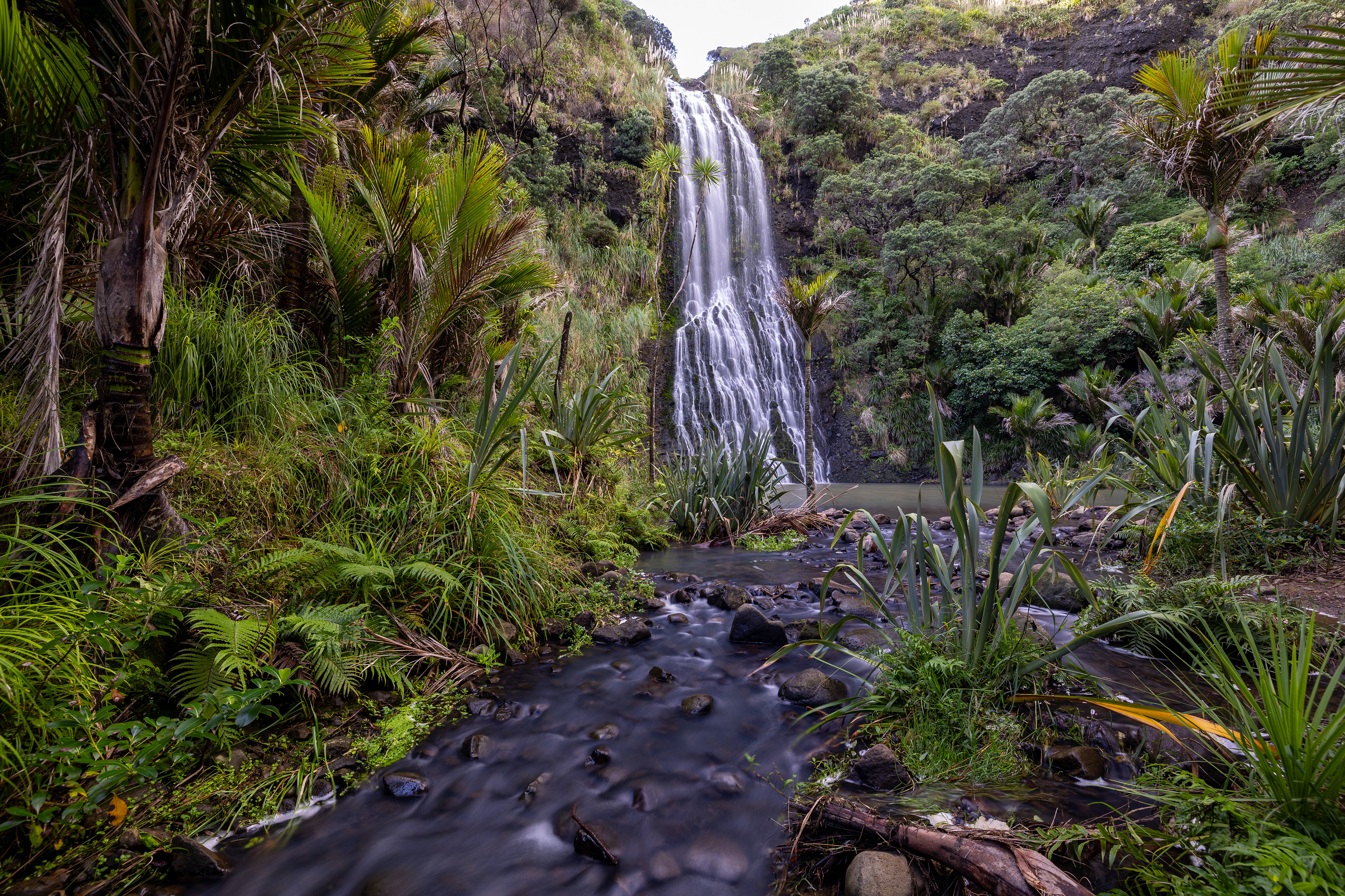 Karekare Falls I