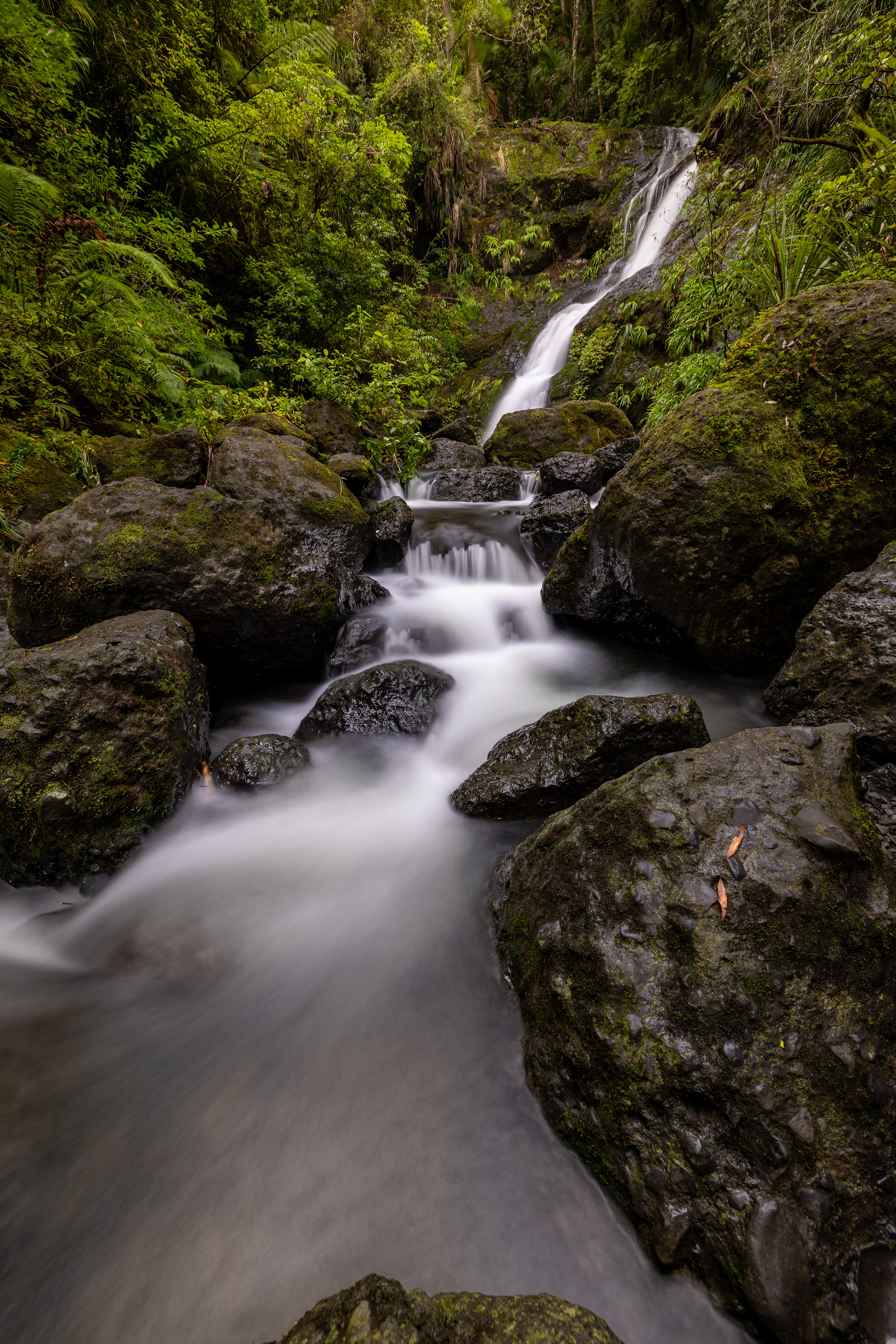 Waiotemarama Falls