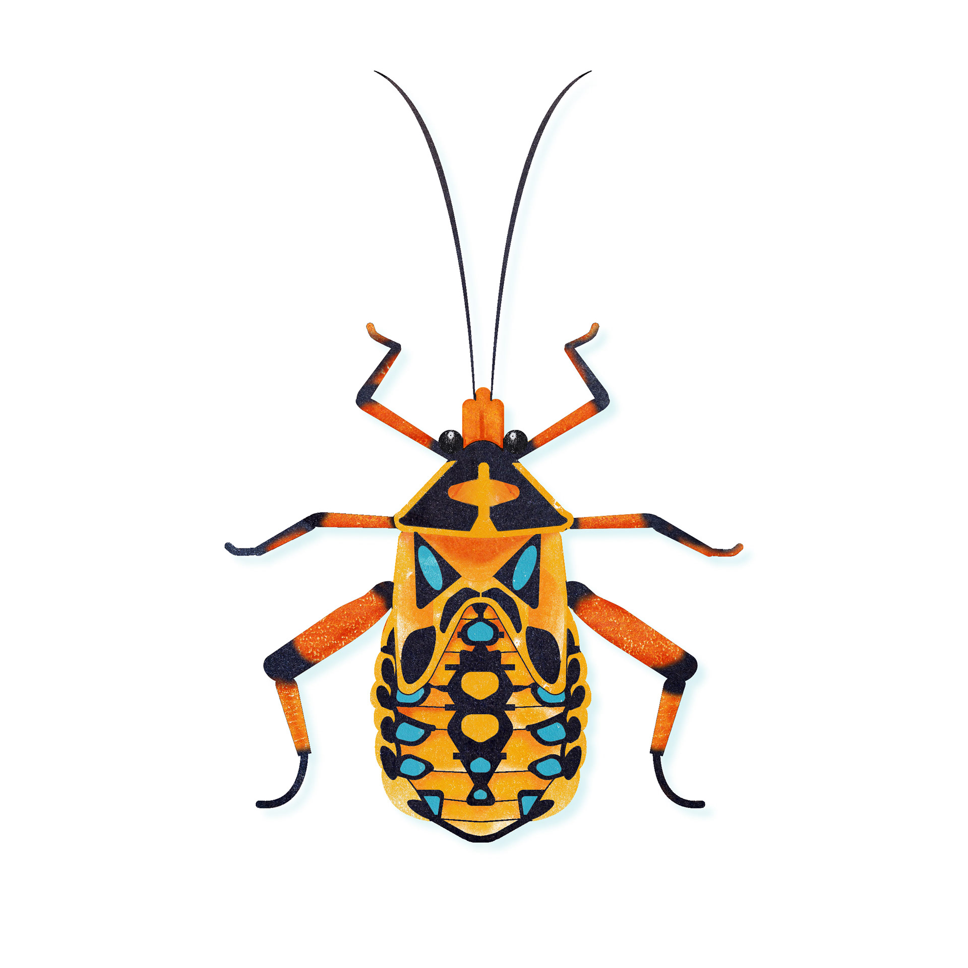 Giant Mesquite Bug