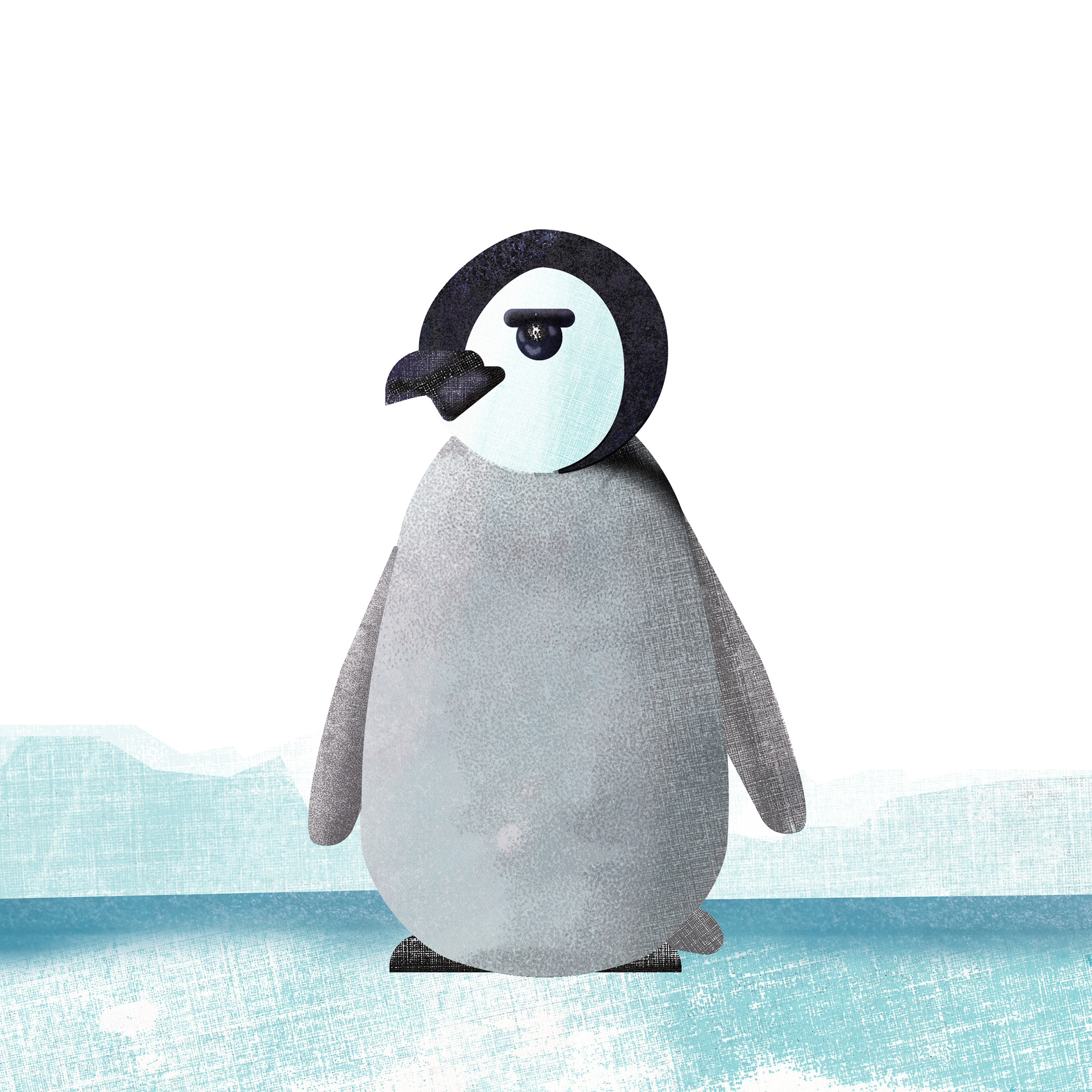 Baby Penguin