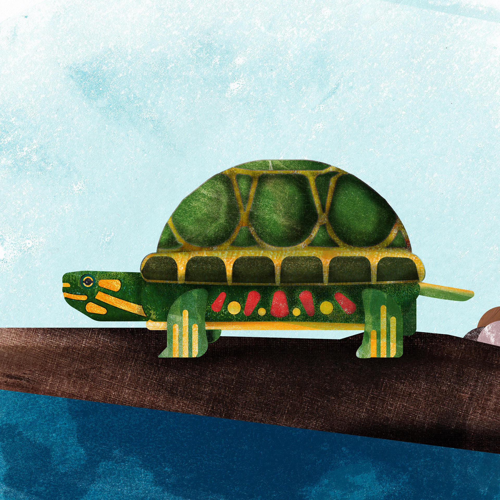 Painted Turtle