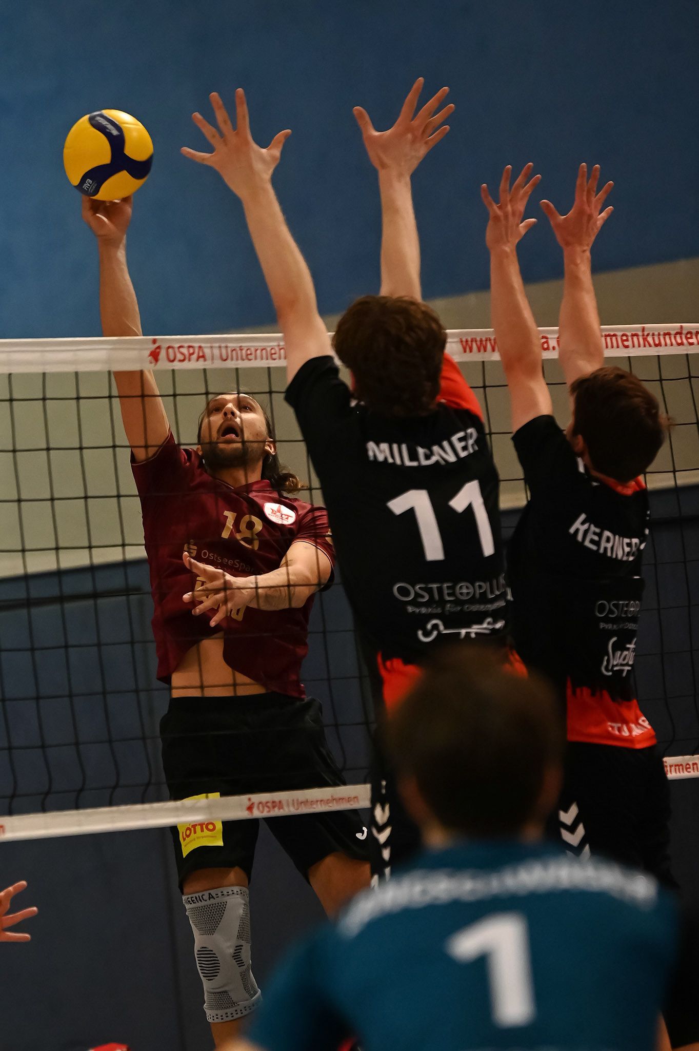 SV Warnemünde vs ETV Hamburg 2. Bundesliga Volleyball