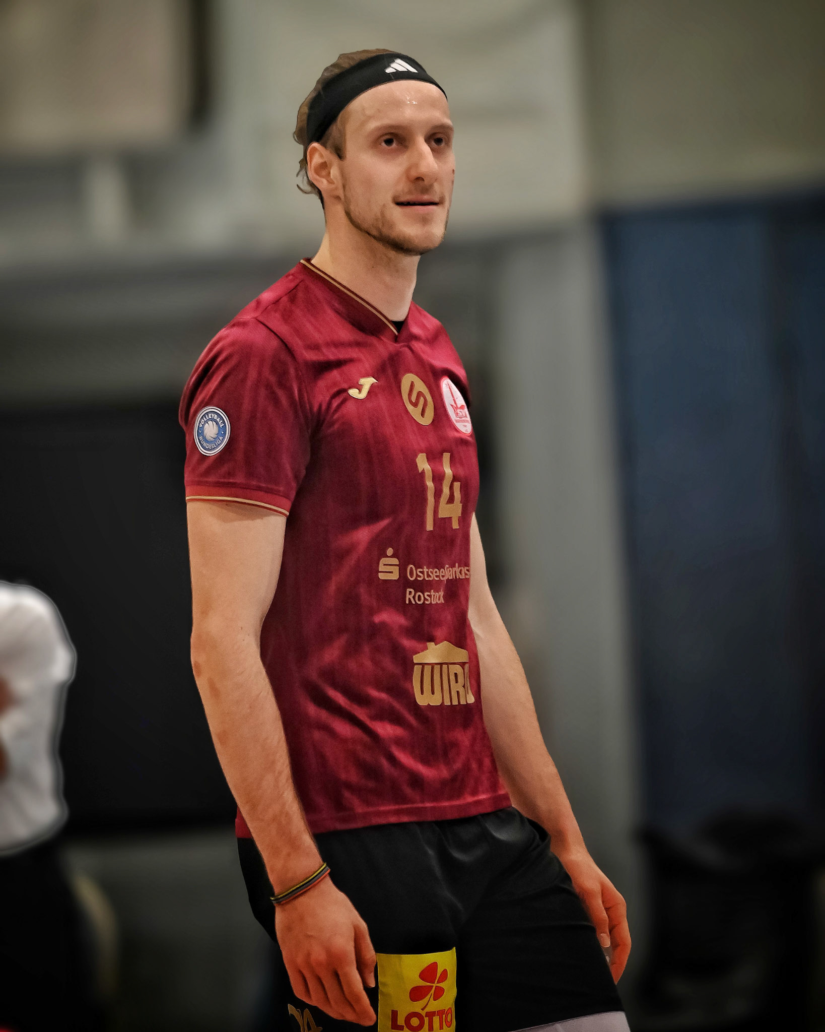 SV Warnemünde vs ETV Hamburg 2. Bundesliga Volleyball