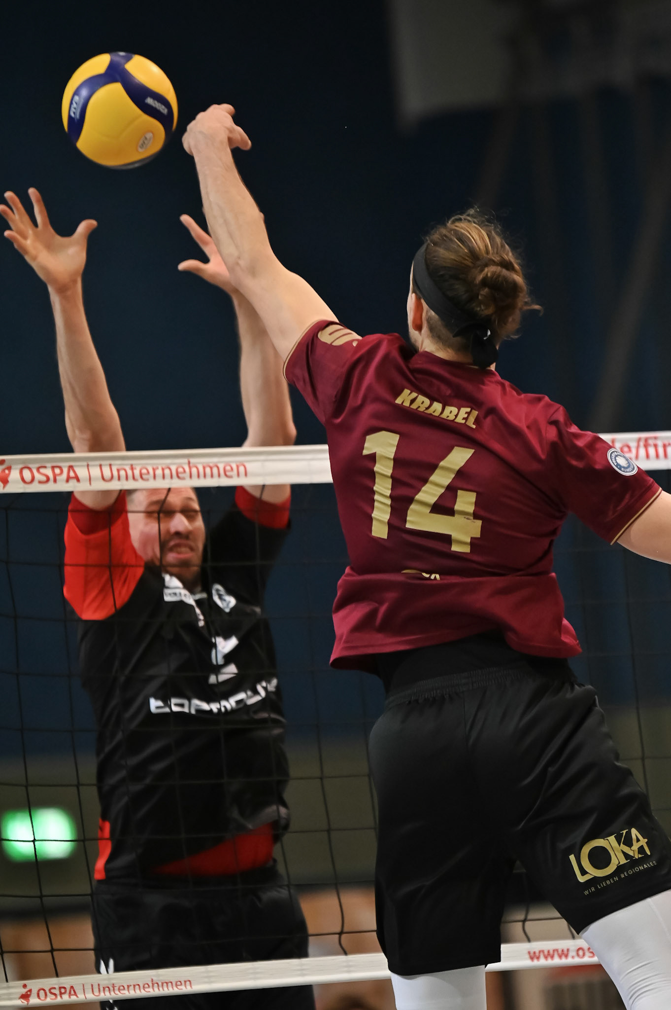 SV Warnemünde vs ETV Hamburg 2. Bundesliga Volleyball