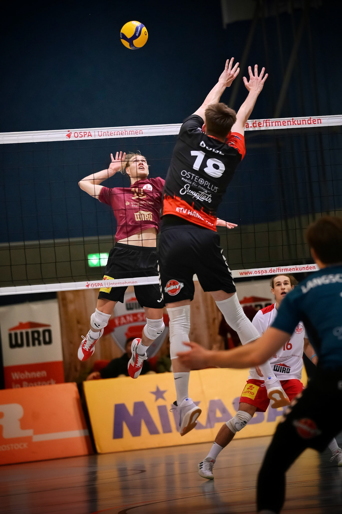 SV Warnemünde vs ETV Hamburg 2. Bundesliga Volleyball