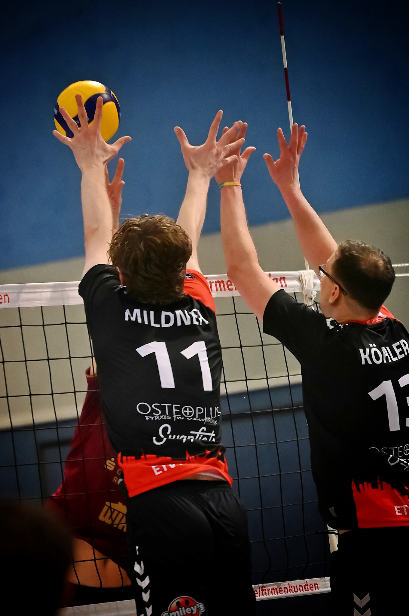 SV Warnemünde vs ETV Hamburg 2. Bundesliga Volleyball