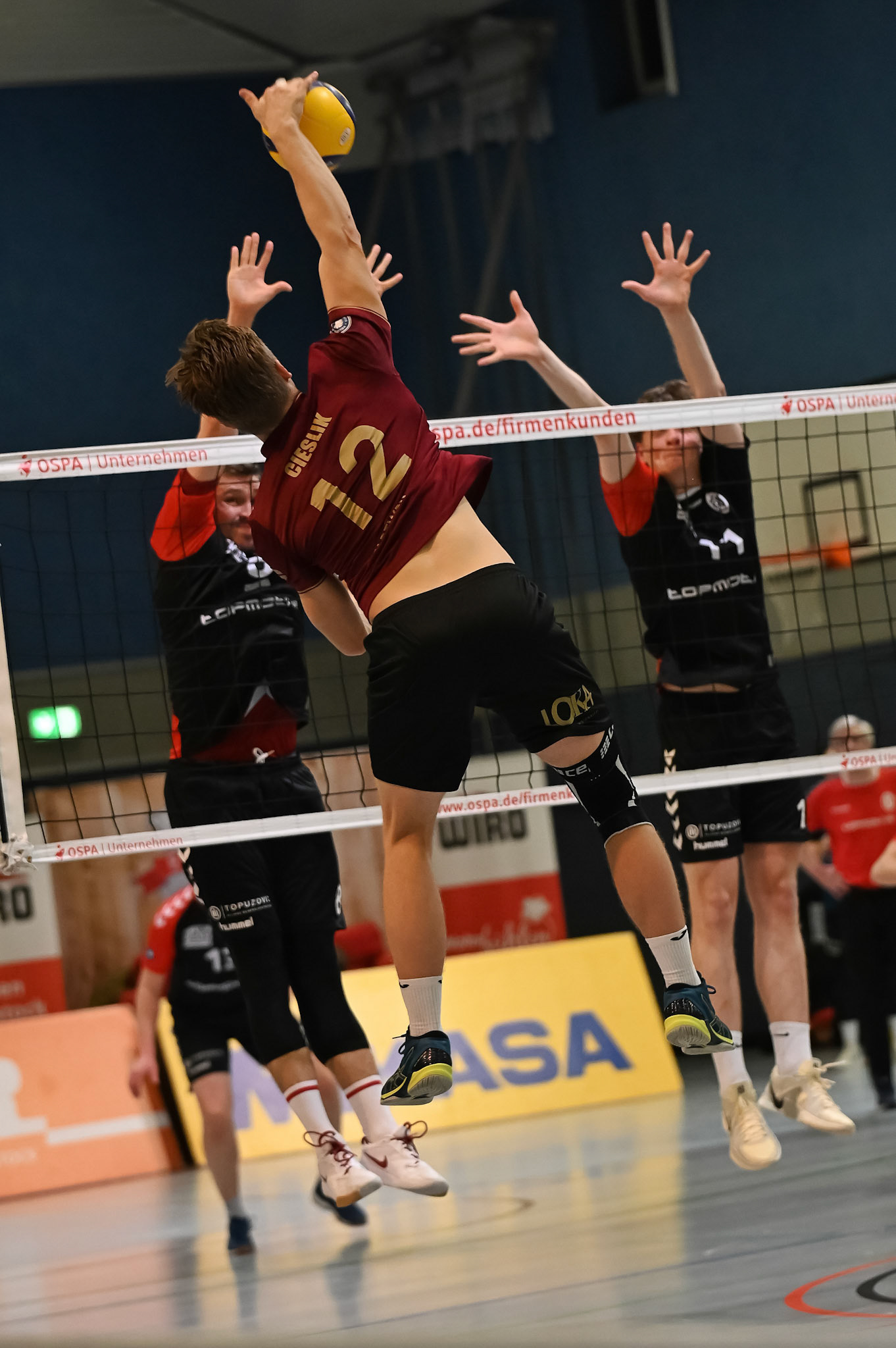 SV Warnemünde vs ETV Hamburg 2. Bundesliga Volleyball