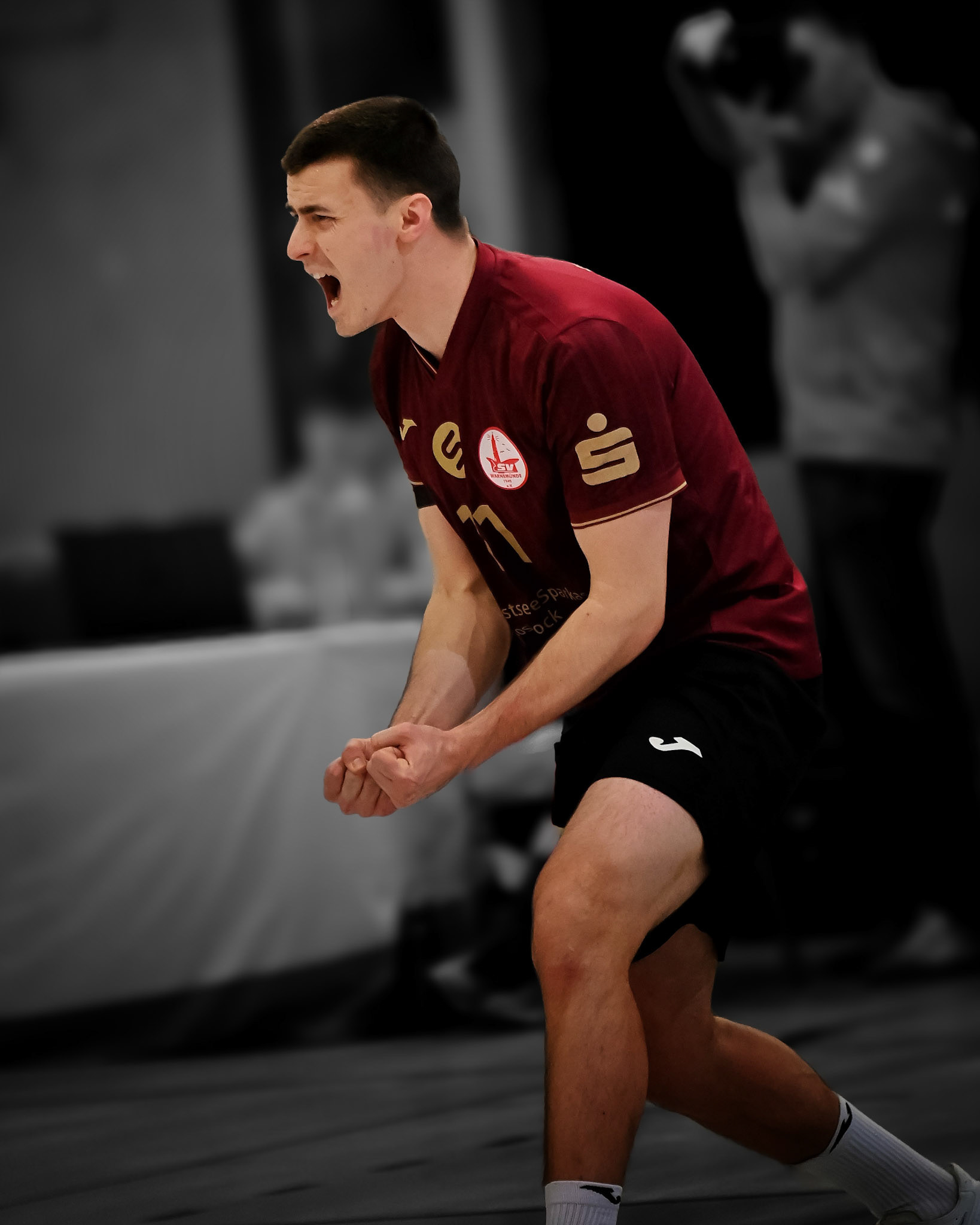 SV Warnemünde vs ETV Hamburg 2. Bundesliga Volleyball