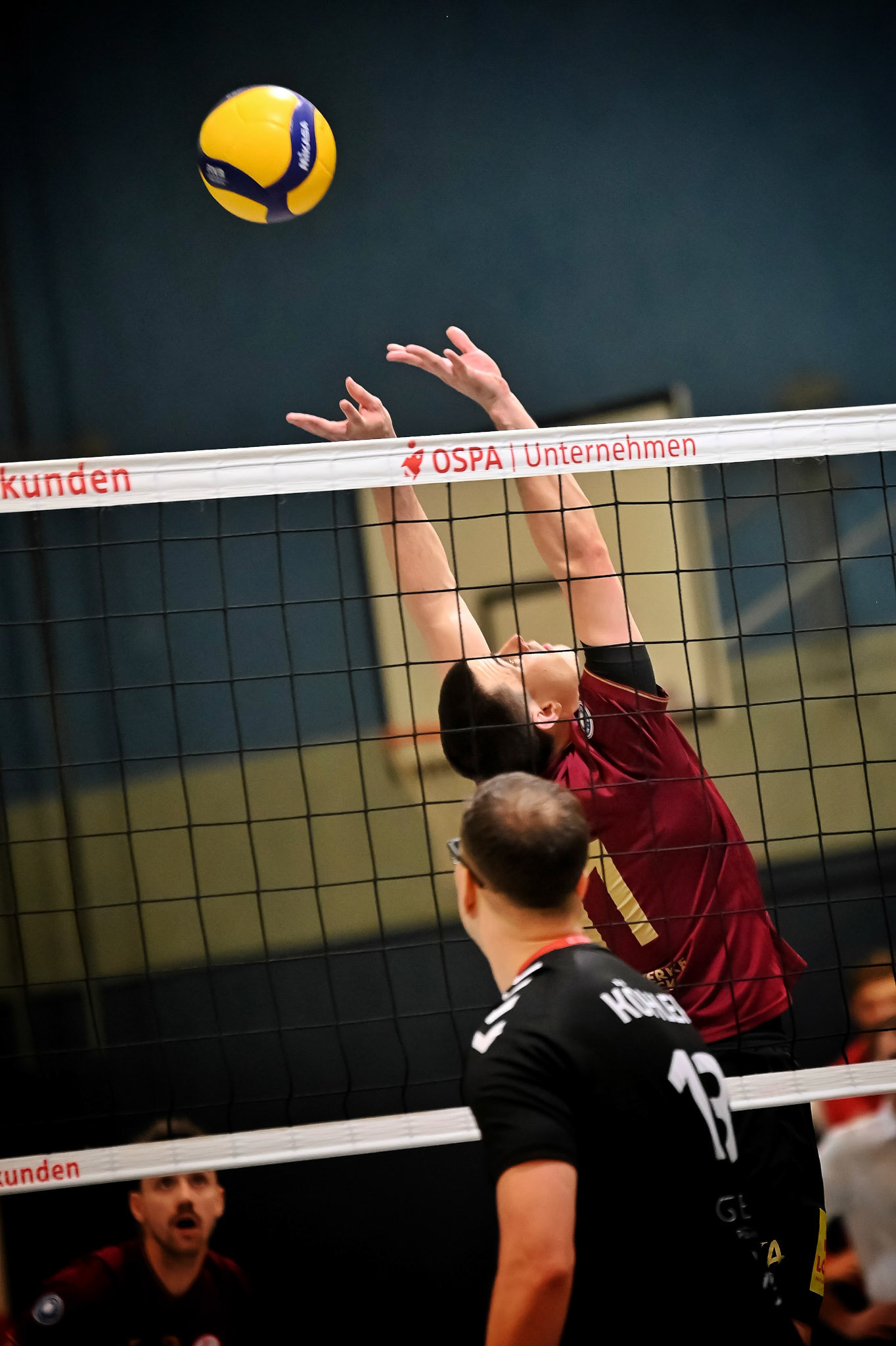 SV Warnemünde vs ETV Hamburg 2. Bundesliga Volleyball
