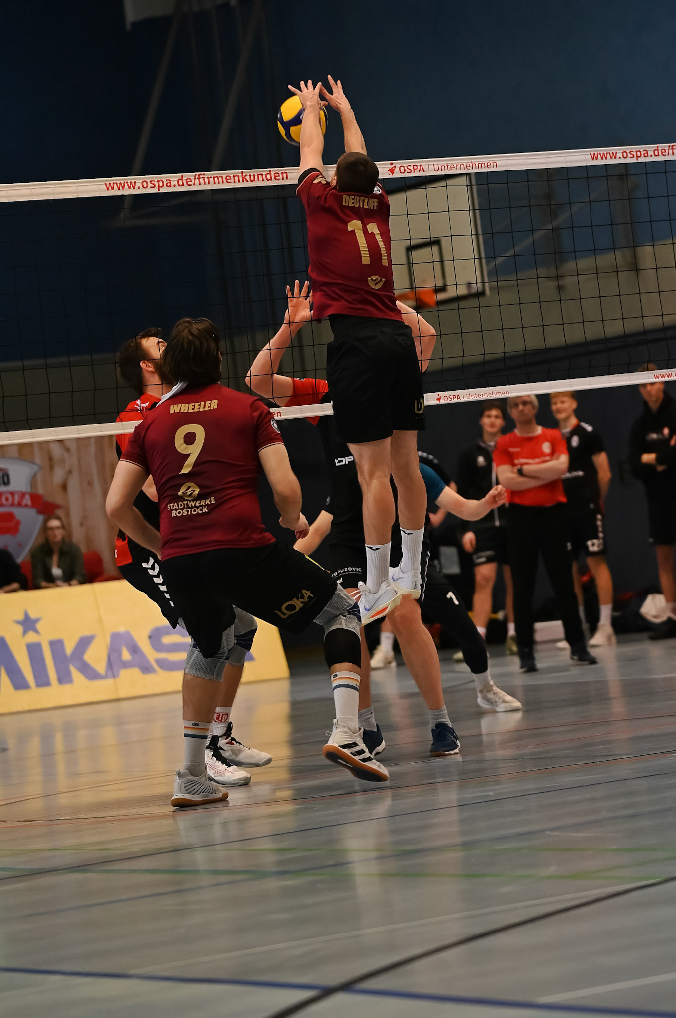 SV Warnemünde vs ETV Hamburg 2. Bundesliga Volleyball