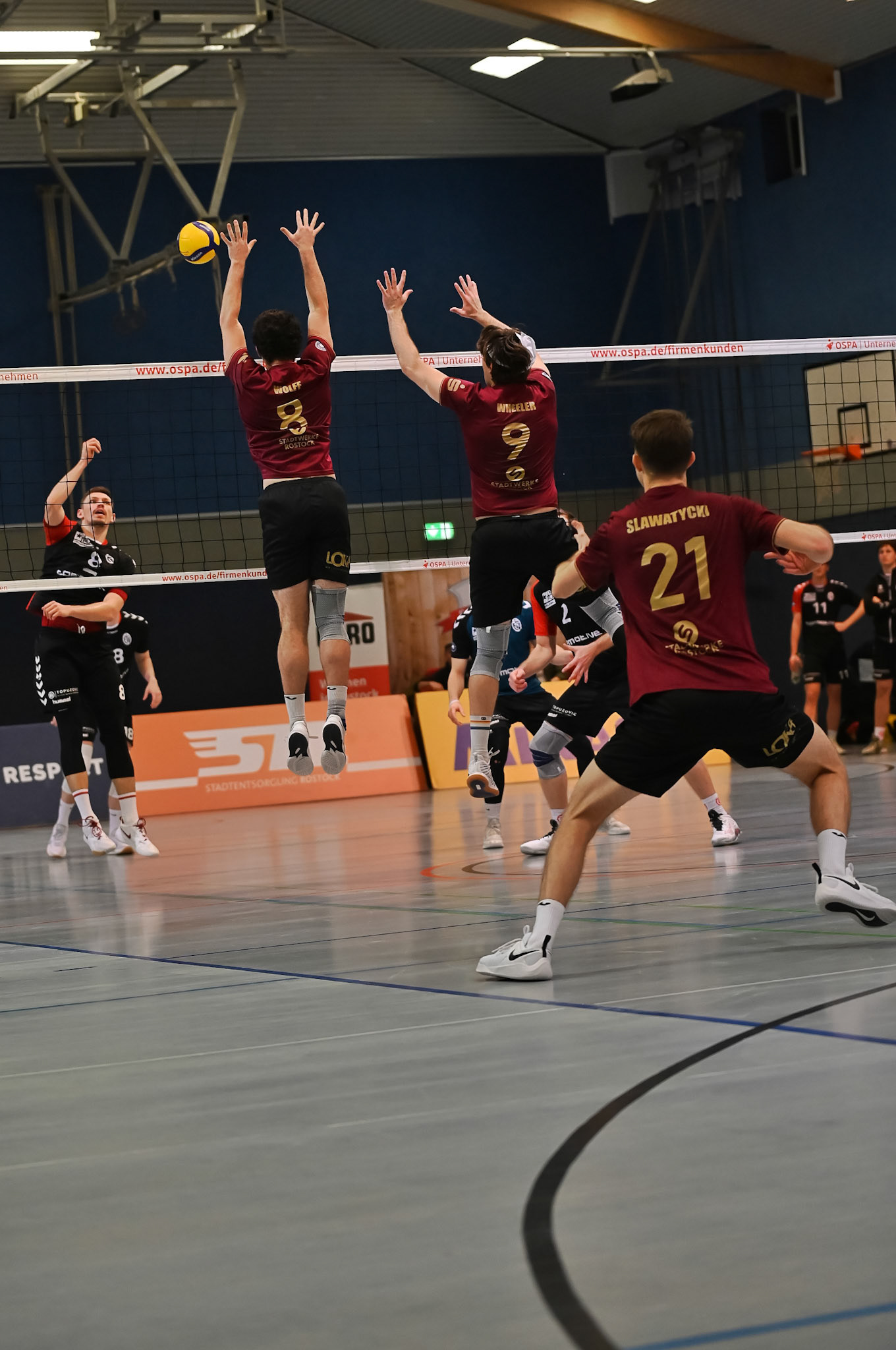 SV Warnemünde vs ETV Hamburg 2. Bundesliga Volleyball