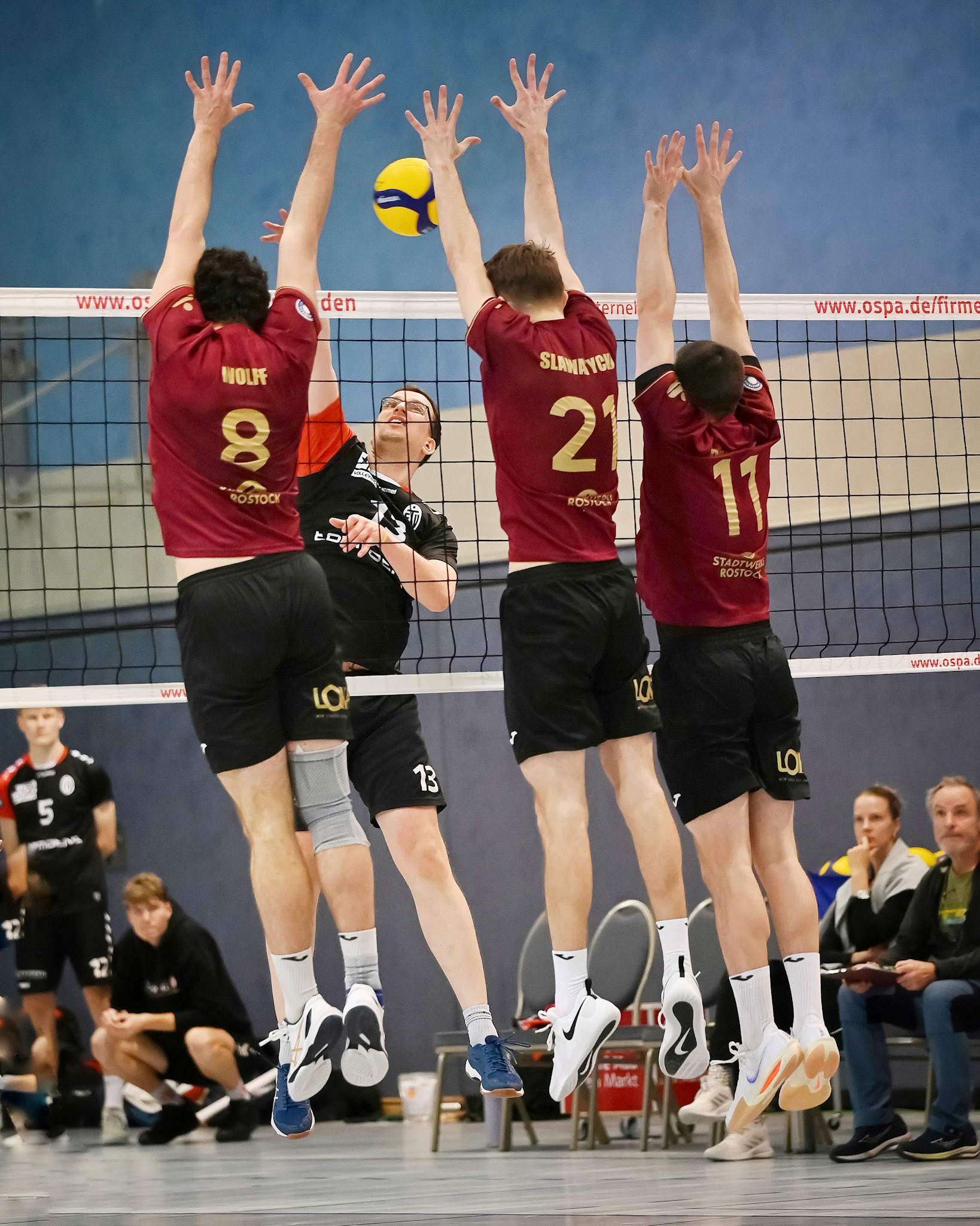 SV Warnemünde vs ETV Hamburg 2. Bundesliga Volleyball