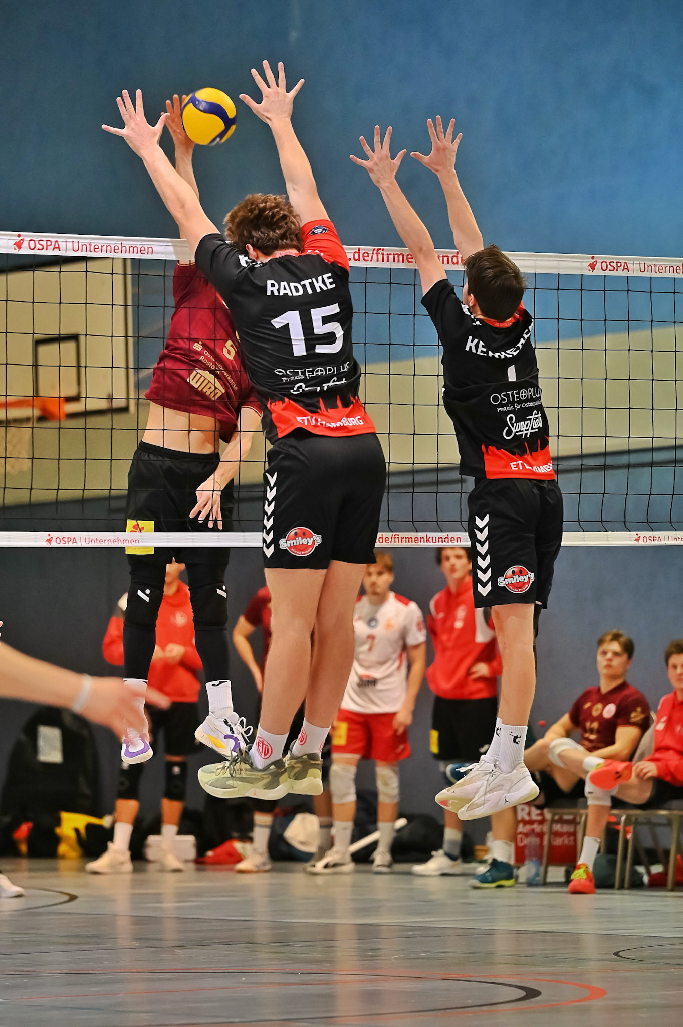 SV Warnemünde vs ETV Hamburg 2. Bundesliga Volleyball