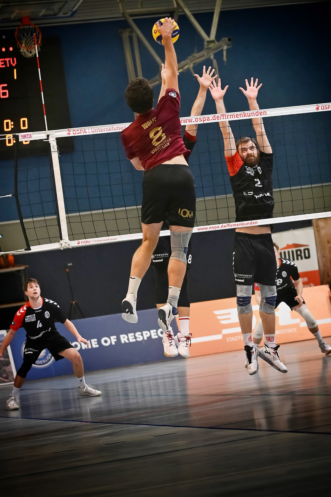 SV Warnemünde vs ETV Hamburg 2. Bundesliga Volleyball