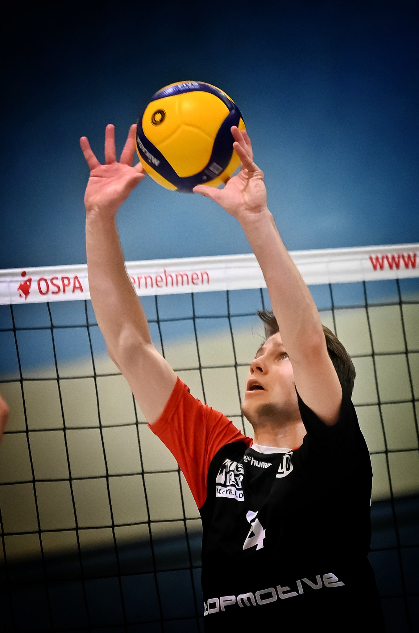 SV Warnemünde vs ETV Hamburg 2. Bundesliga Volleyball