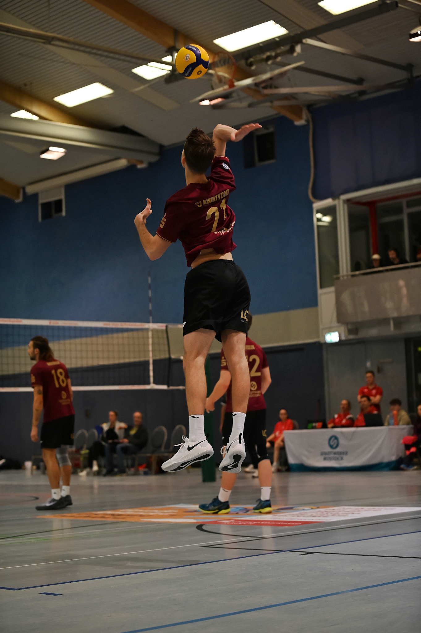 SV Warnemünde vs ETV Hamburg 2. Bundesliga Volleyball