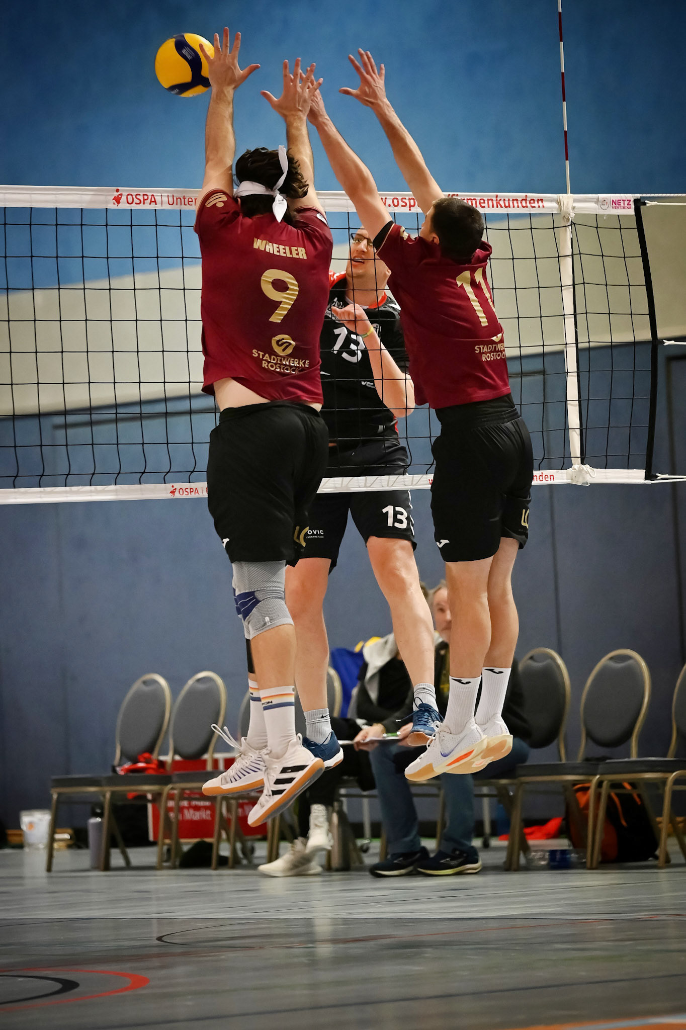 SV Warnemünde vs ETV Hamburg 2. Bundesliga Volleyball