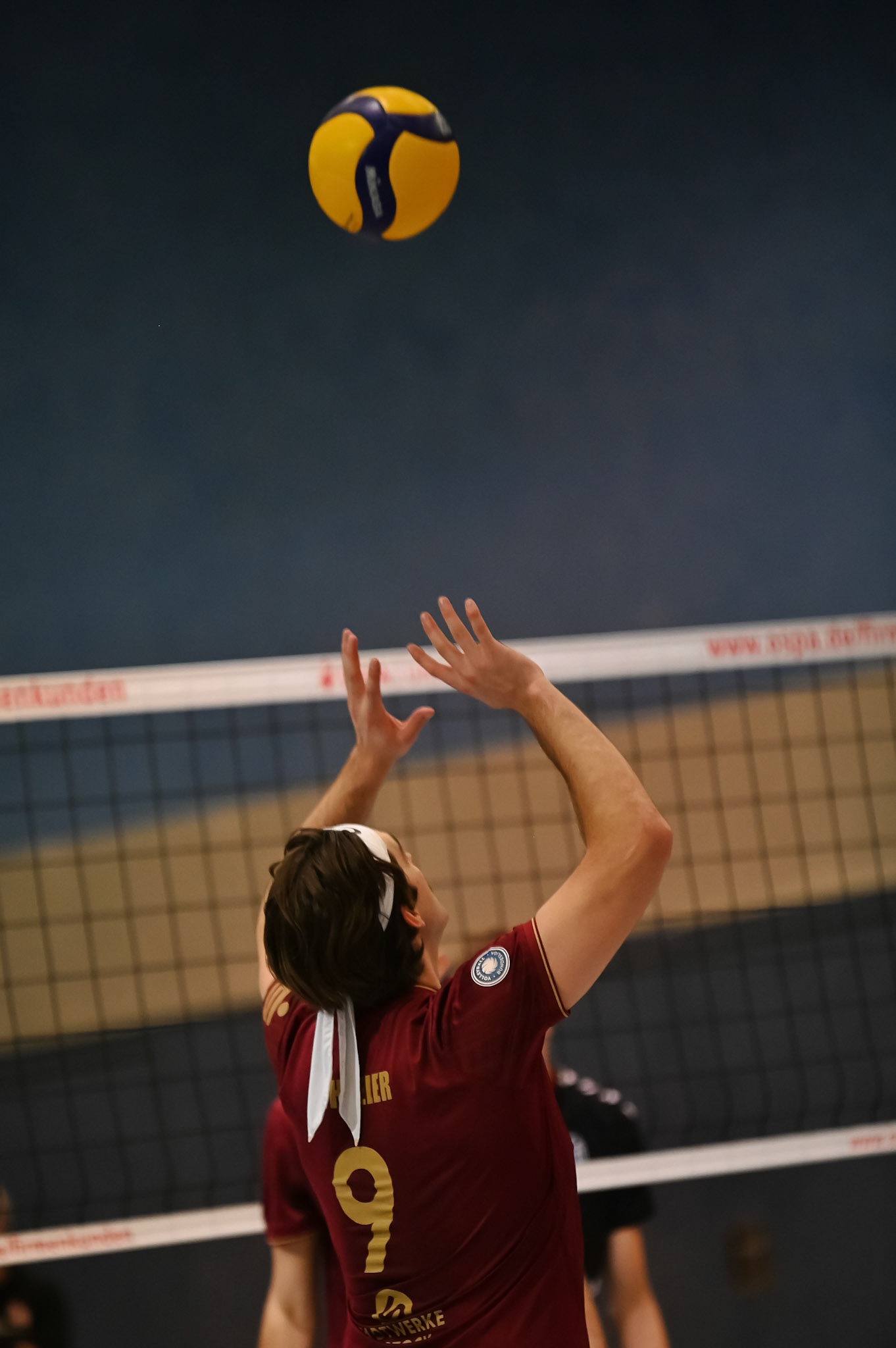 SV Warnemünde vs ETV Hamburg 2. Bundesliga Volleyball