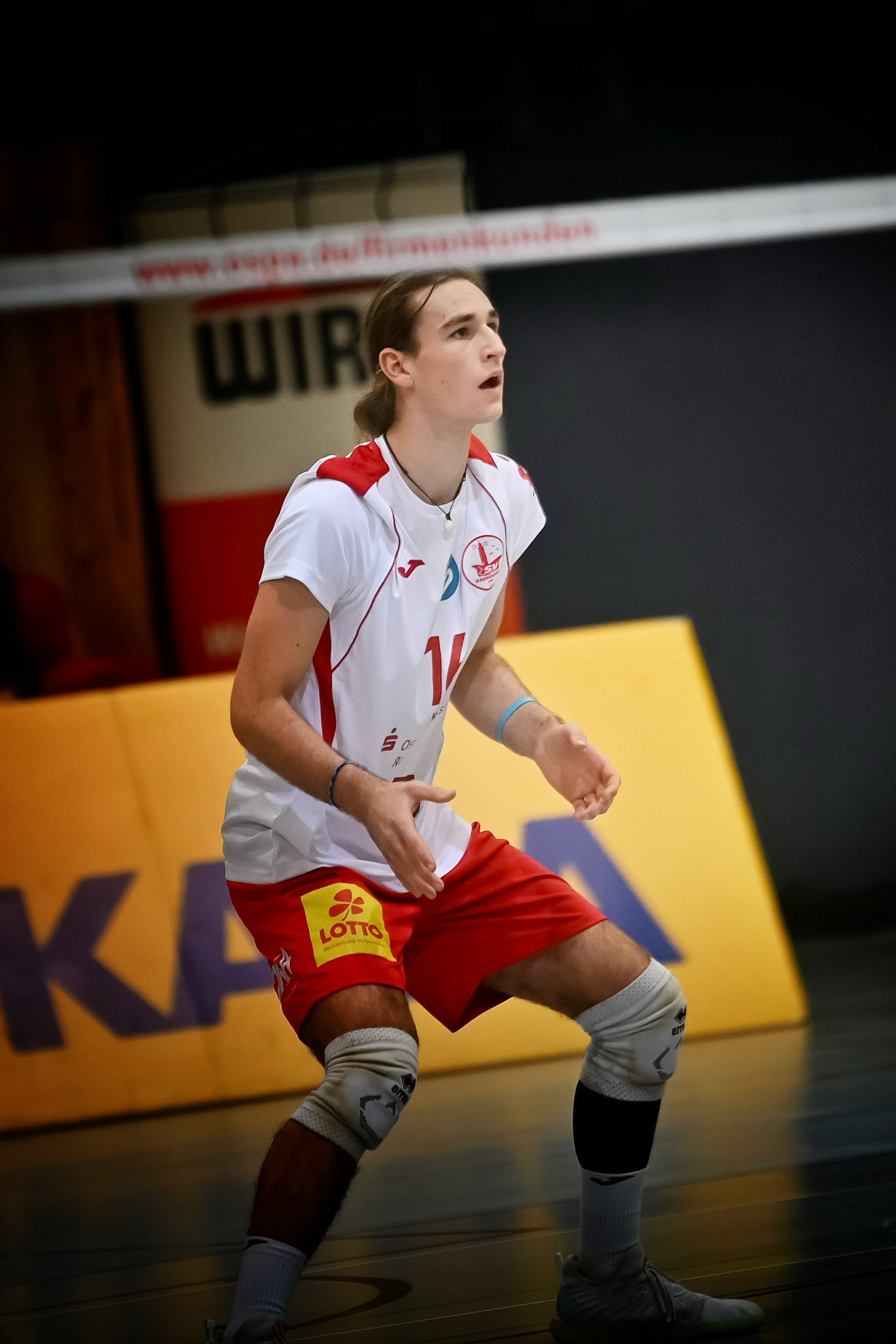 SV Warnemünde vs ETV Hamburg 2. Bundesliga Volleyball
