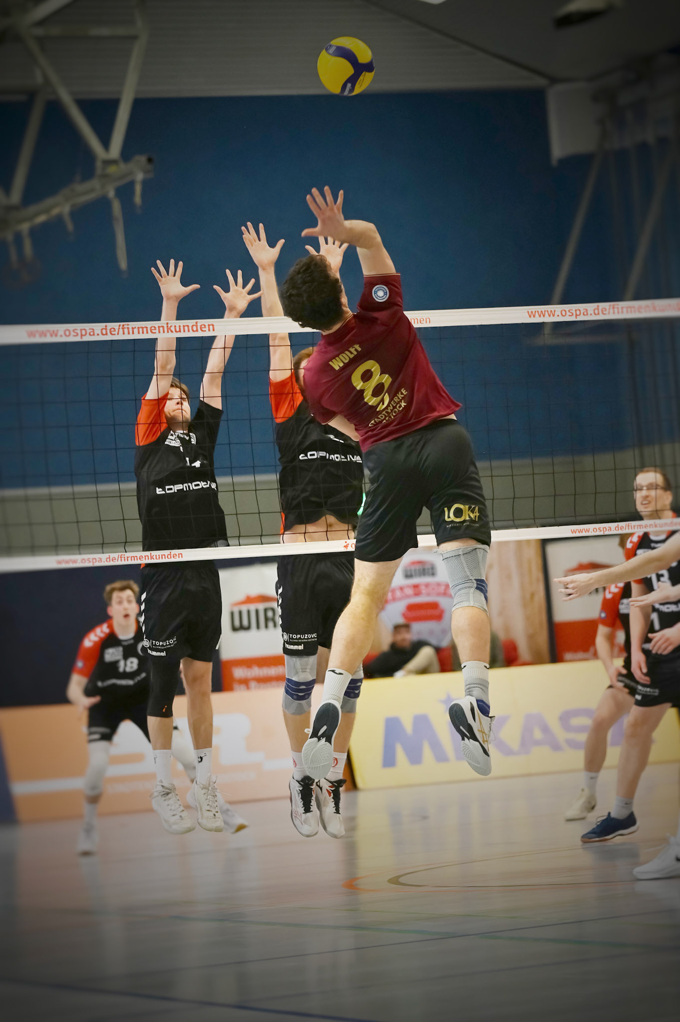 SV Warnemünde vs ETV Hamburg 2. Bundesliga Volleyball