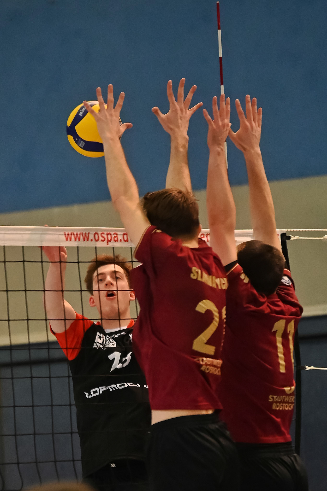 SV Warnemünde vs ETV Hamburg 2. Bundesliga Volleyball