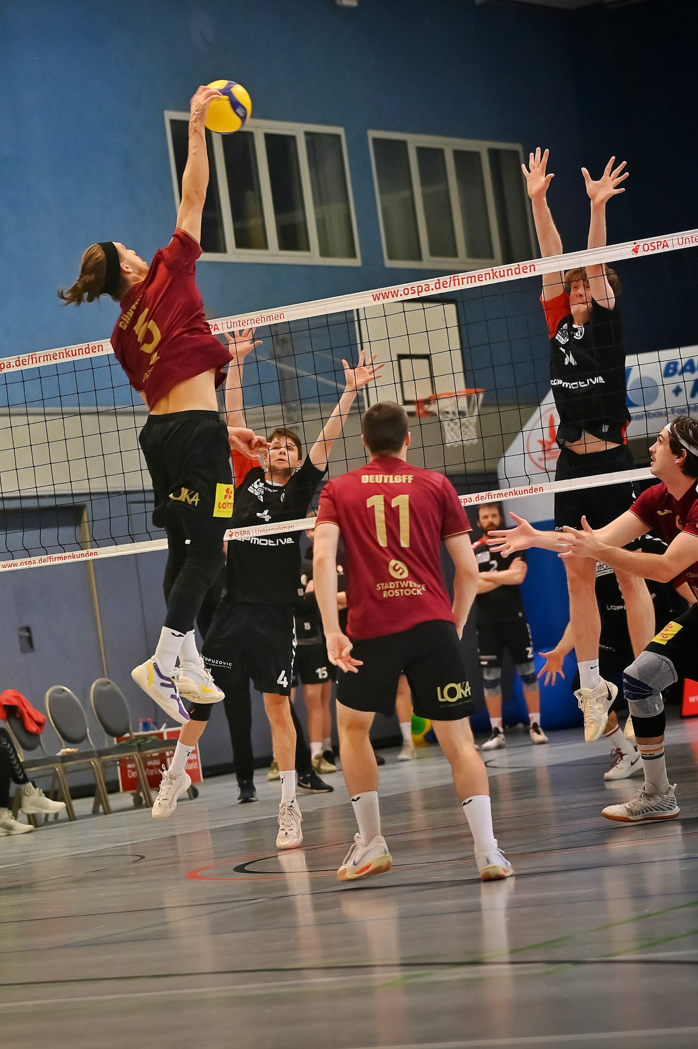 SV Warnemünde vs ETV Hamburg 2. Bundesliga Volleyball