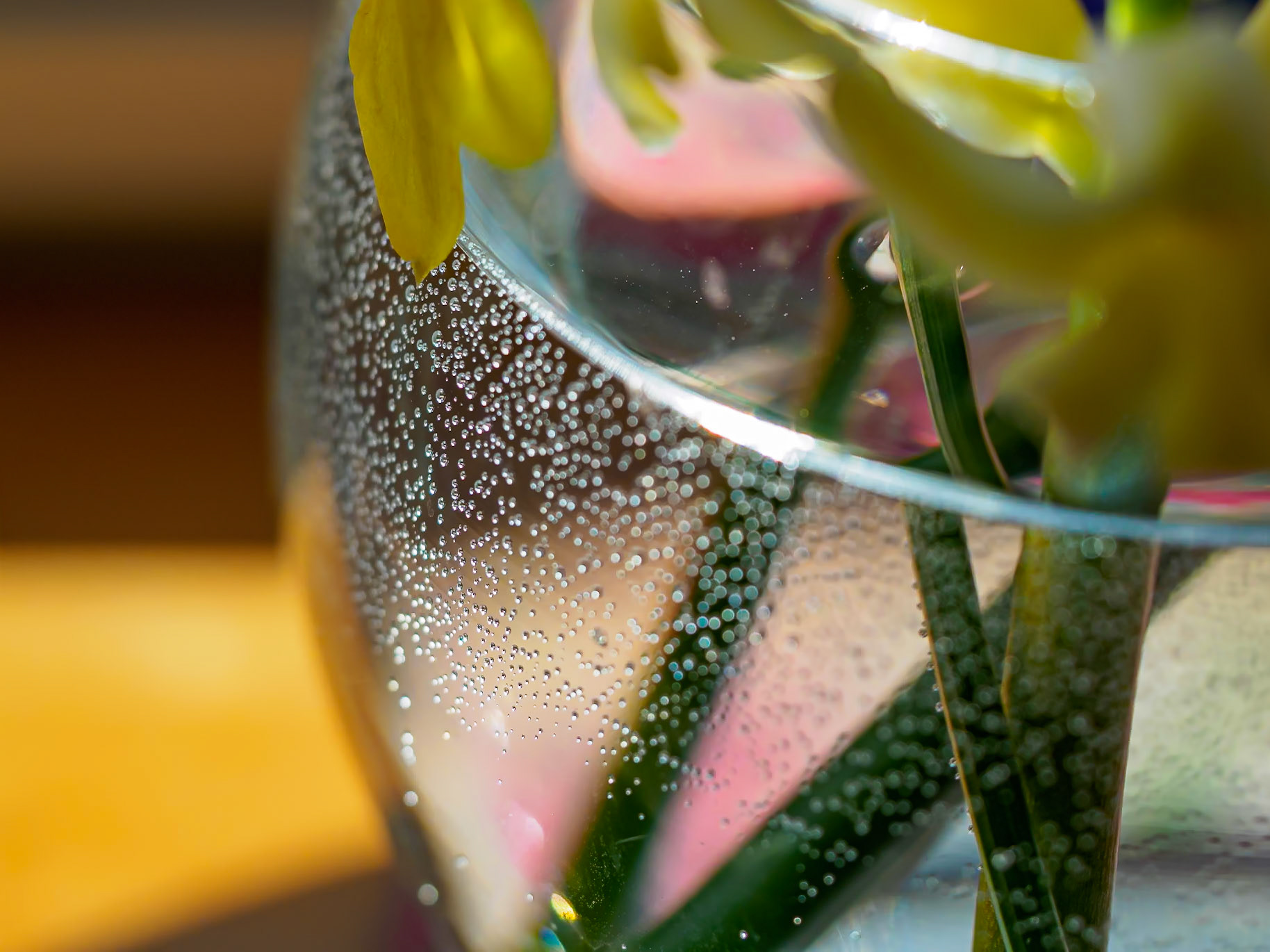 20419015 Bubbles
