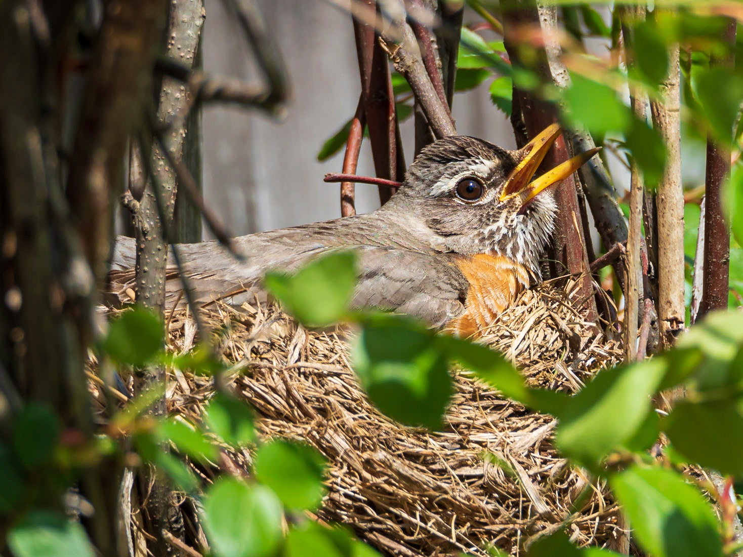 21502030 Egg Warmer with Something to Say