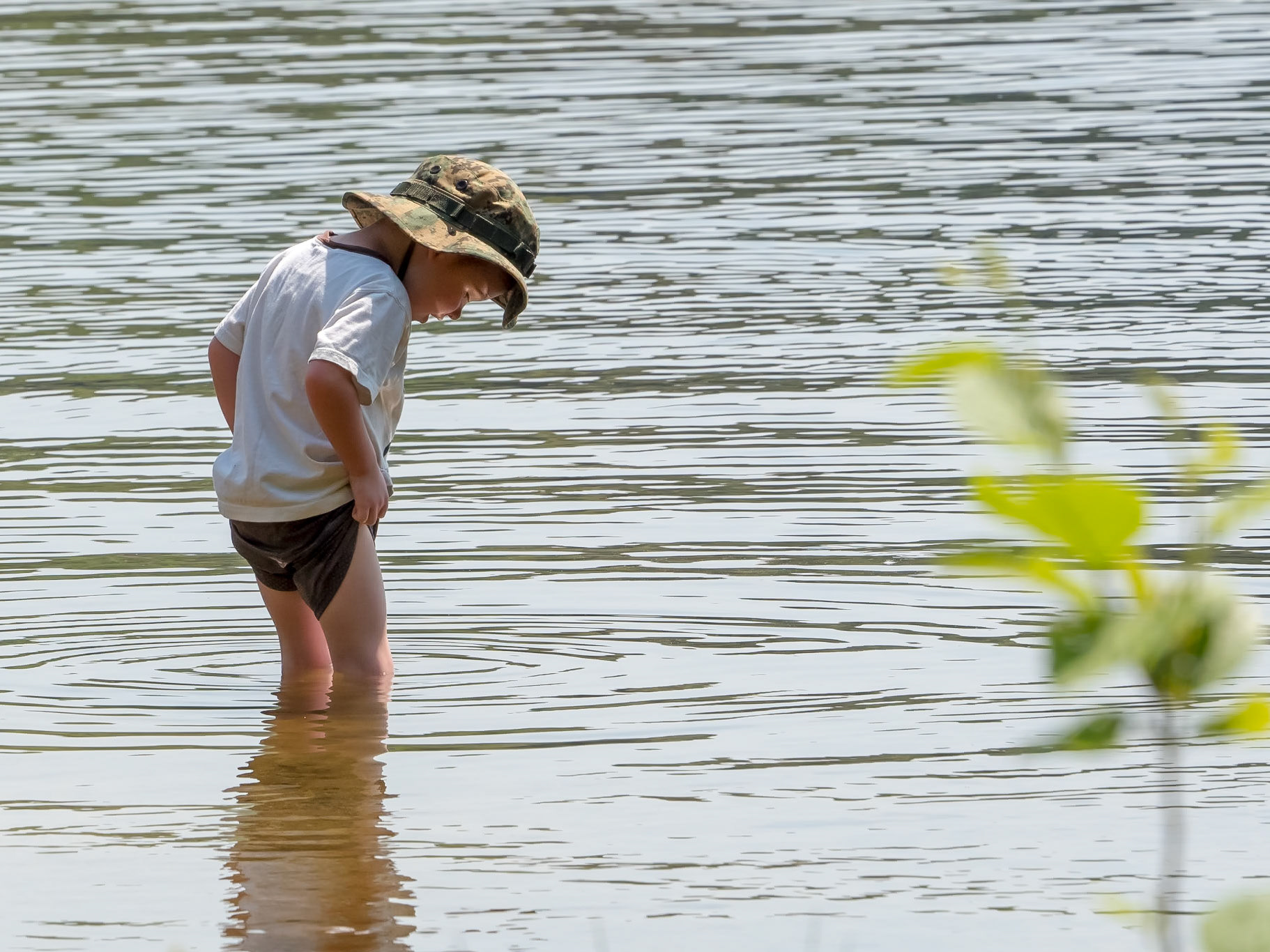 15527095 Unknown Child Tentatively Wading