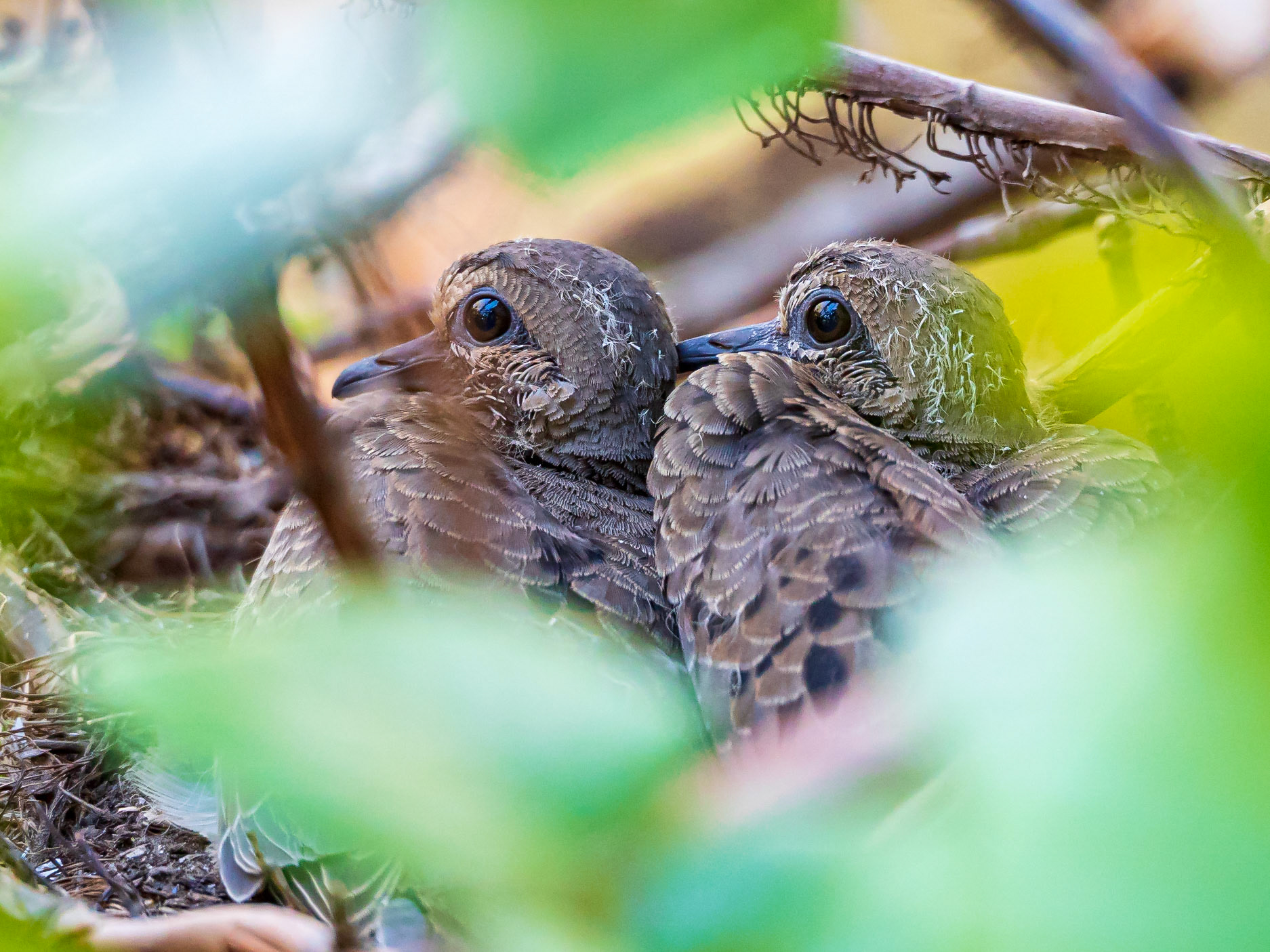 21426006 Eyes Wide Open