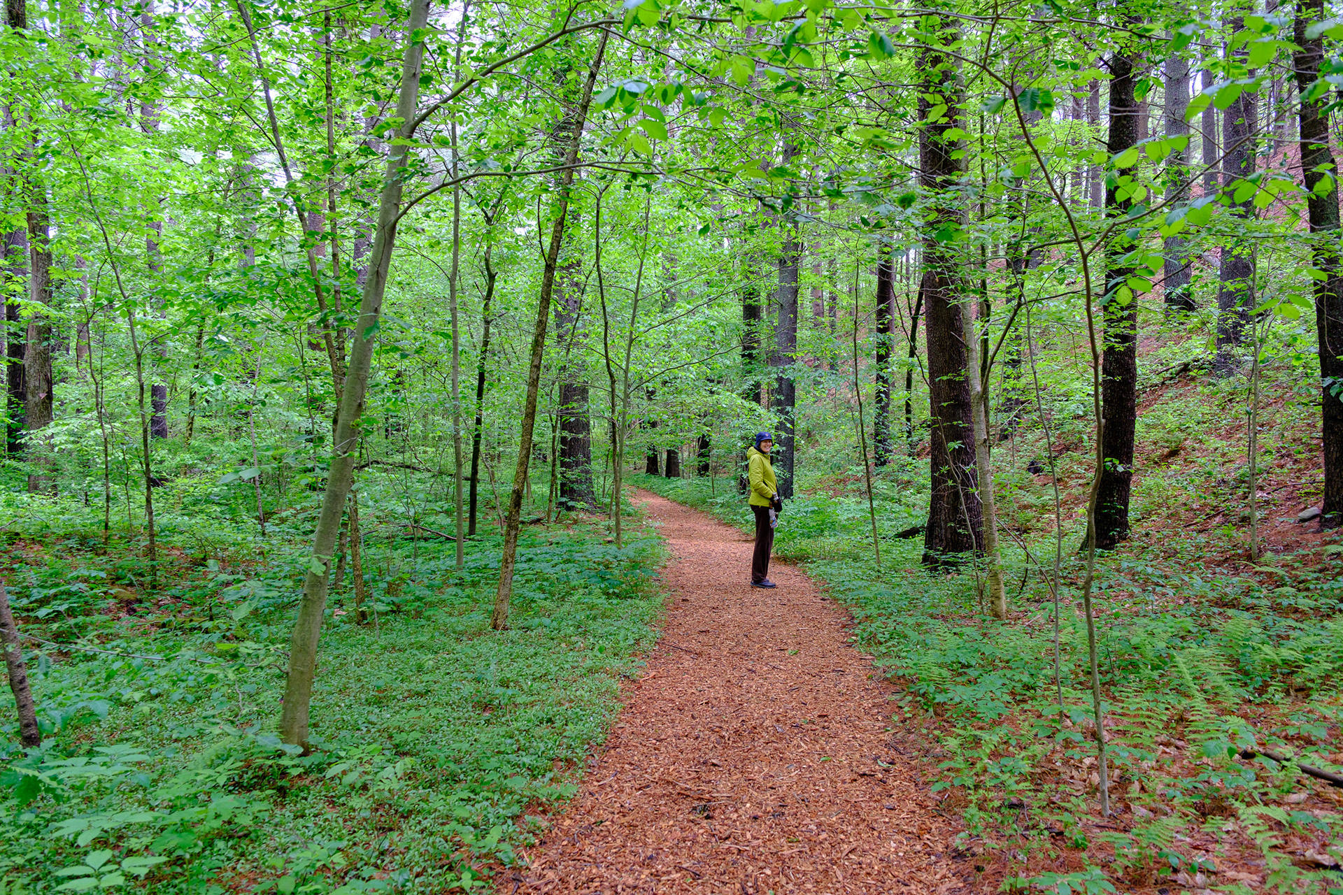 250524-525 Garden in the Woods Path