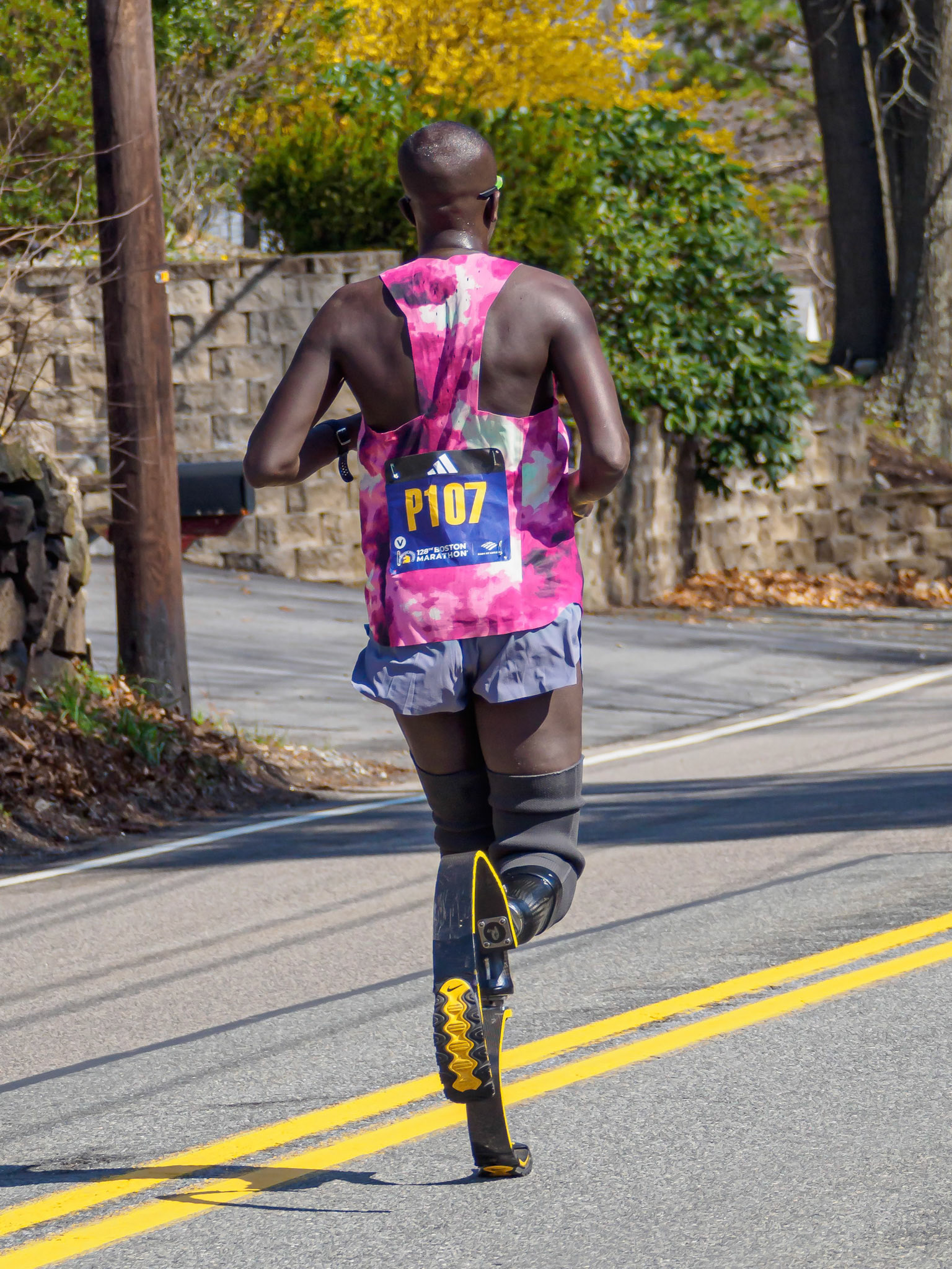 24415156 Cheseto Lemtukei, Marko