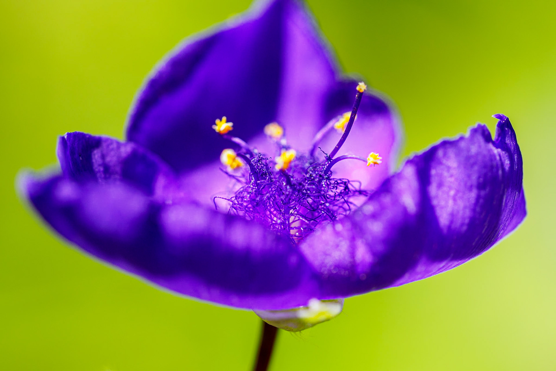 15626079 Jumbled Inside