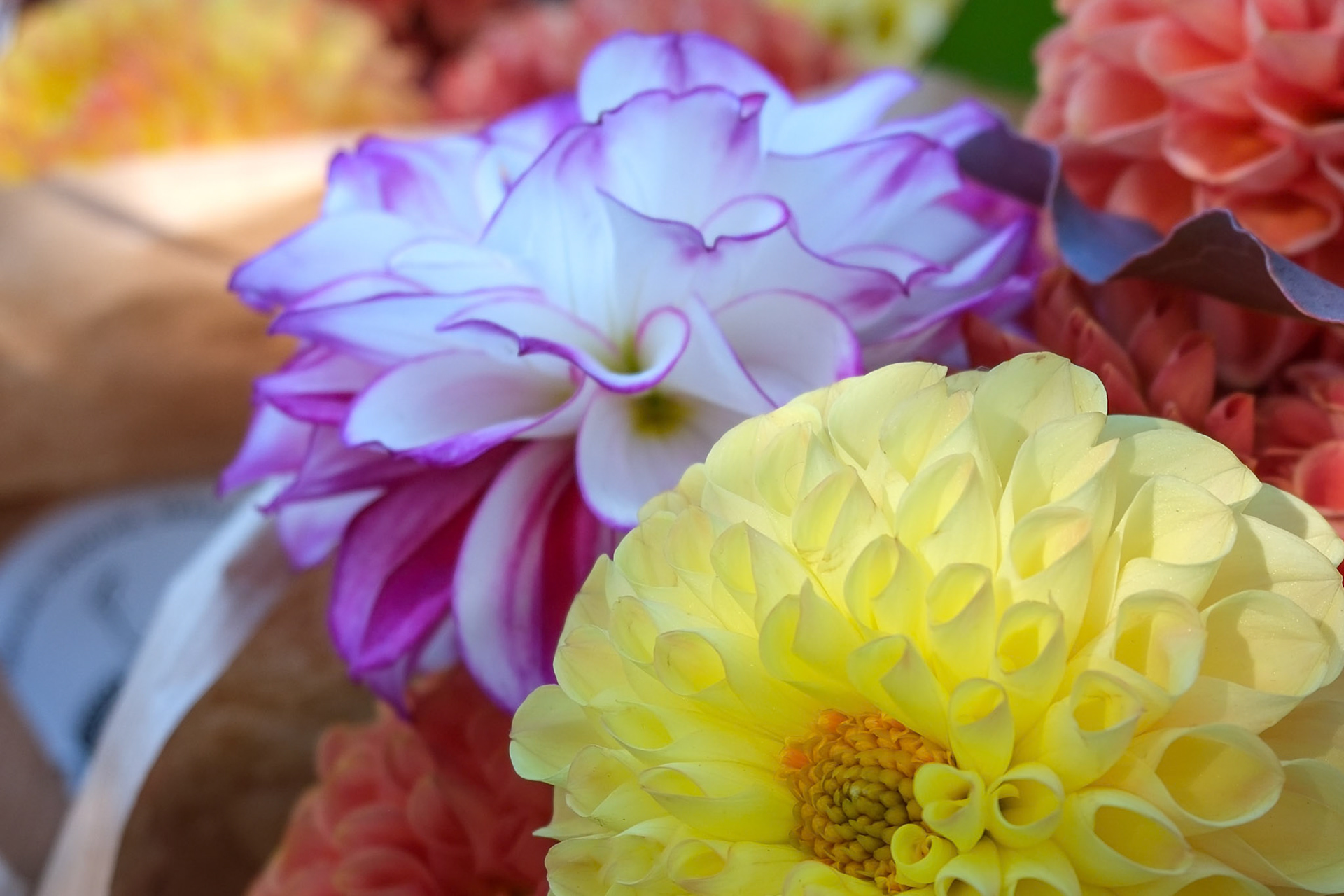 241019-144 Market Bouquet