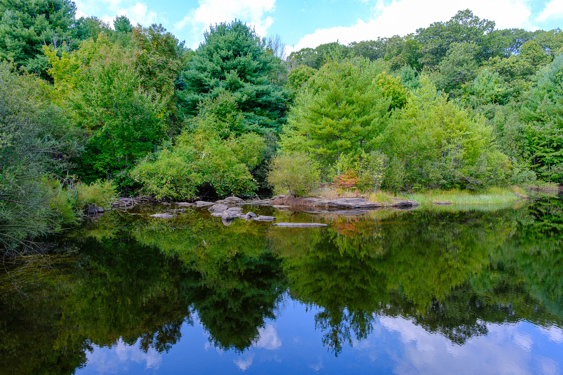 250914-872 Eagle Pond