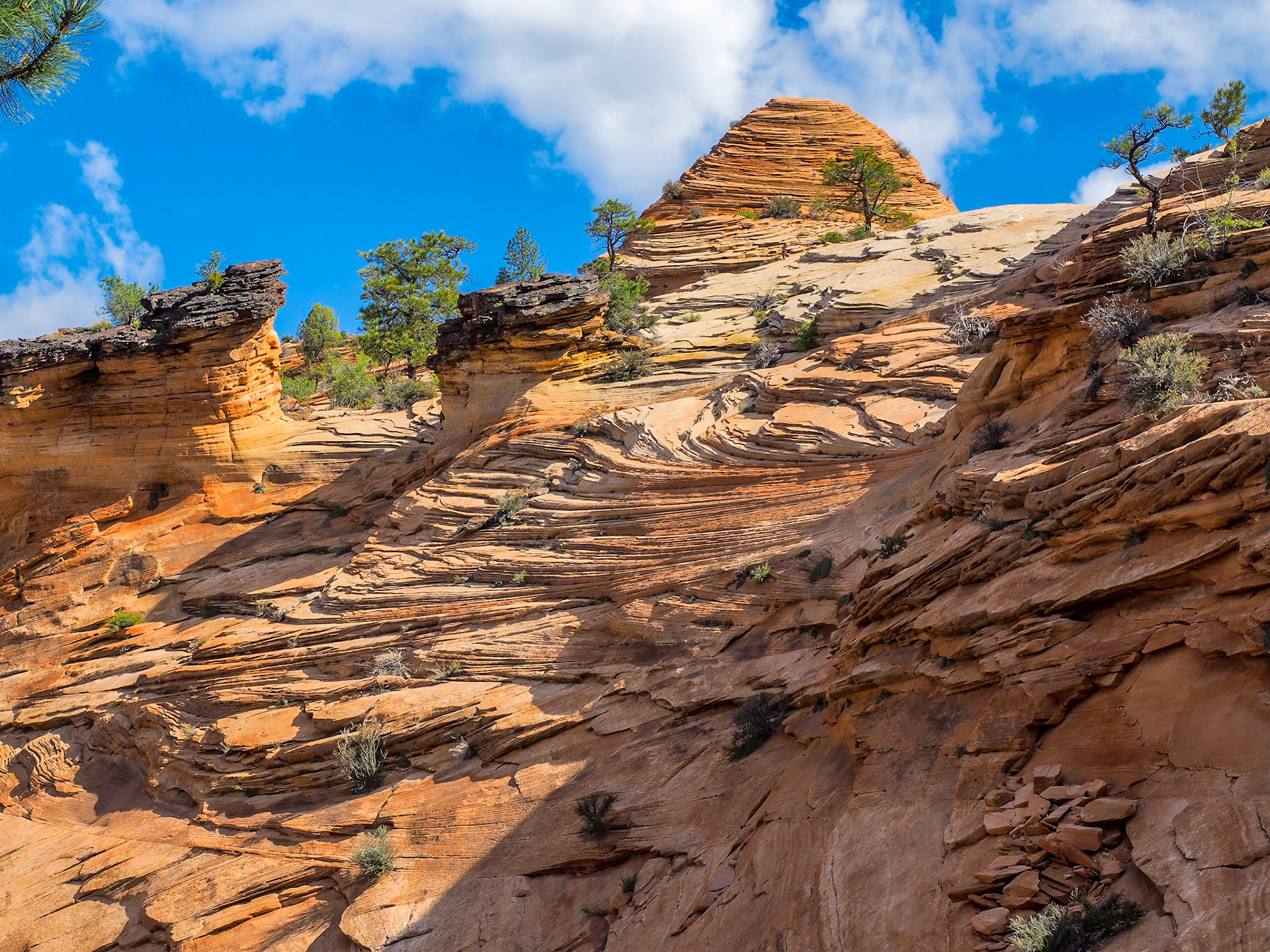 16417354 Slickrock Everywhere