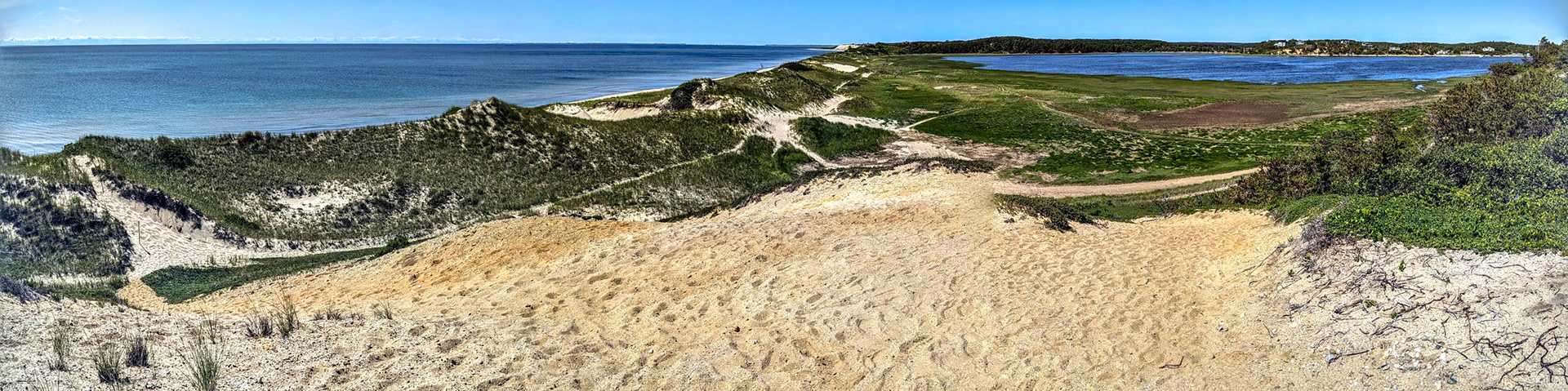 PXL_20230621_19051195