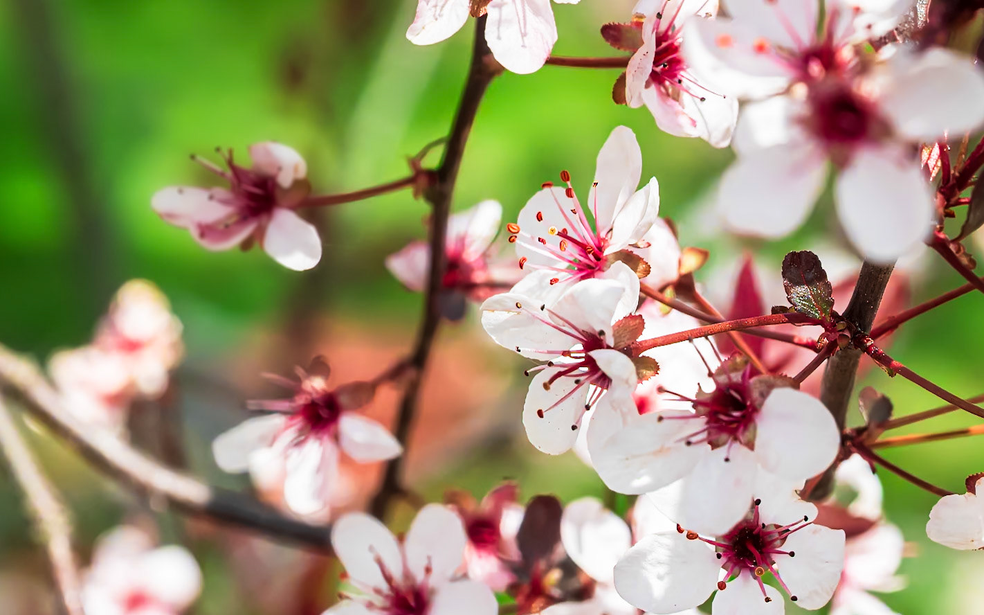 21502017 Rich Endings