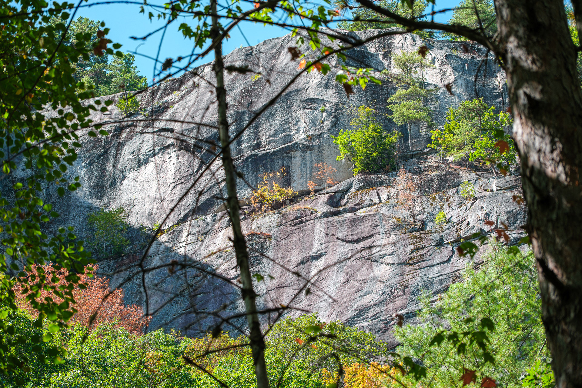 250910-771 Cathedral Ledge Rock Face