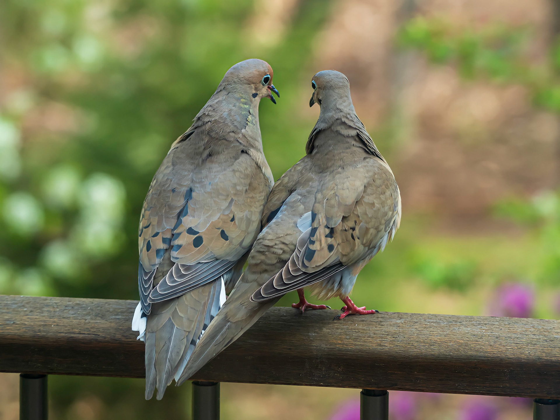 21428074 Intimate Chat