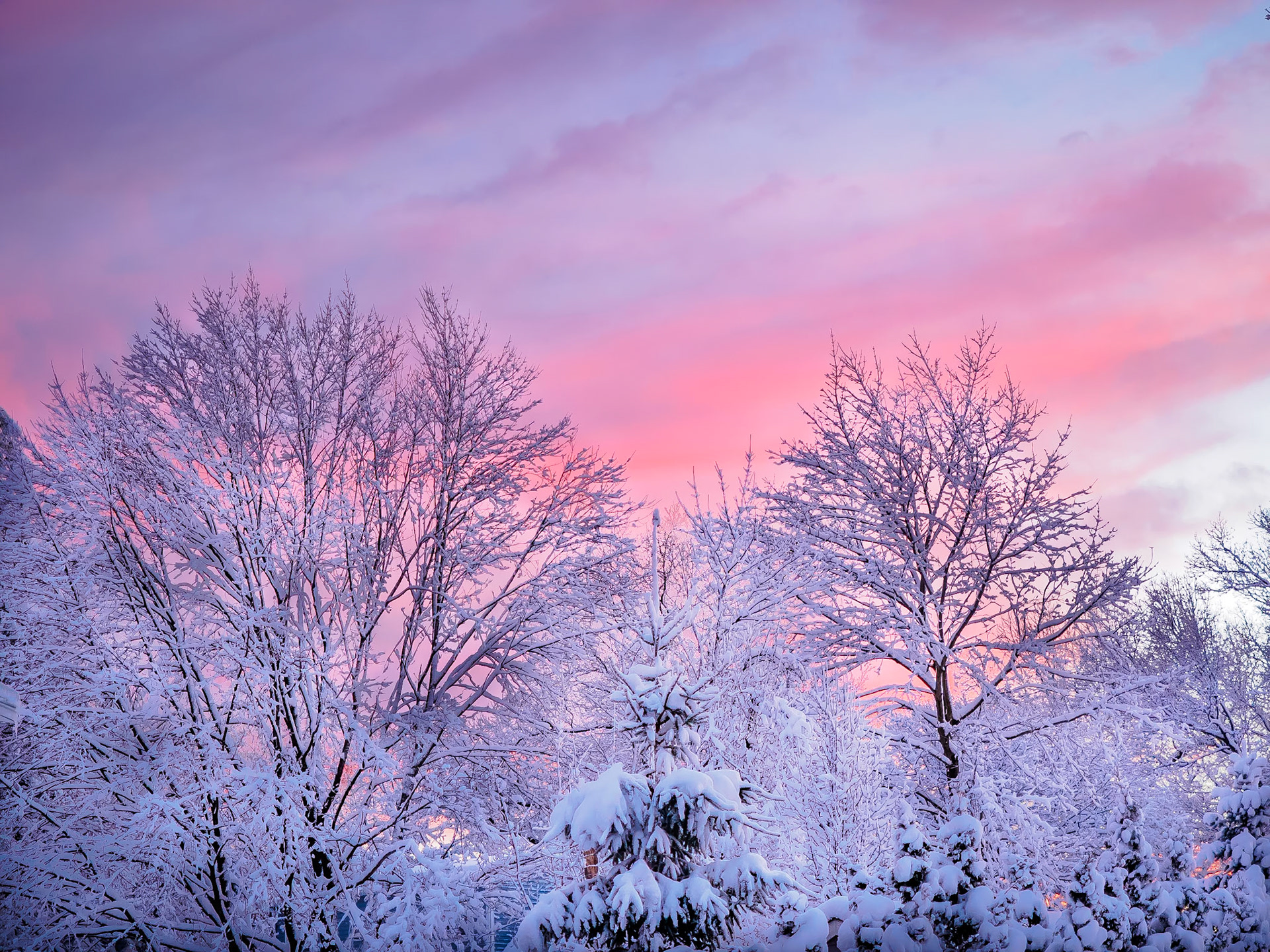 16205140 New Fallen Sunset