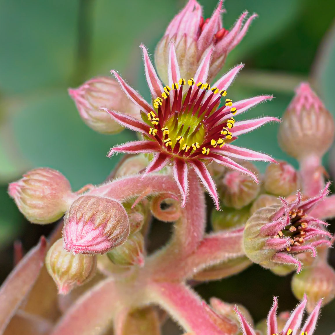 19725010 Extra-Terrestrial