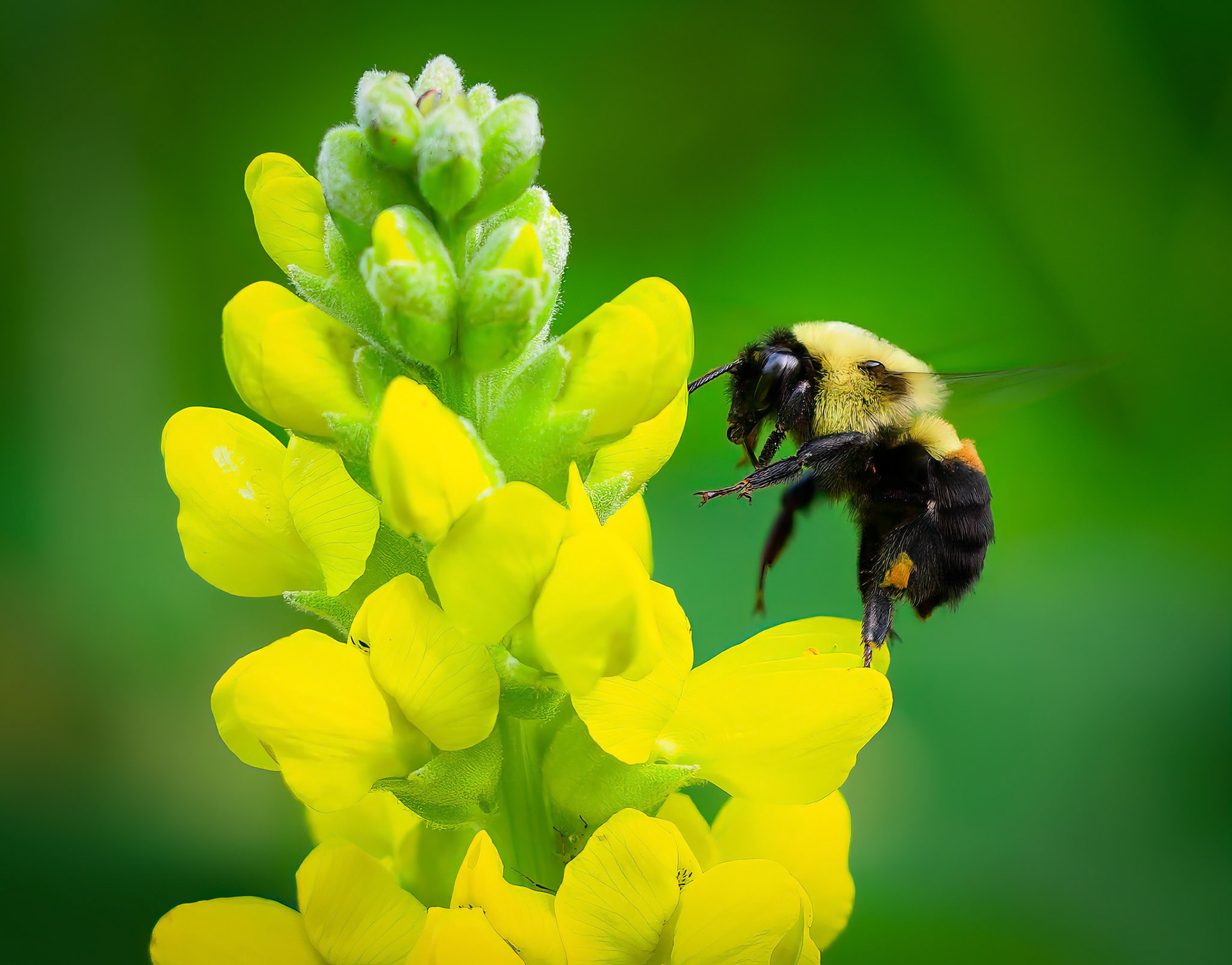 15623161 Defying Gravity