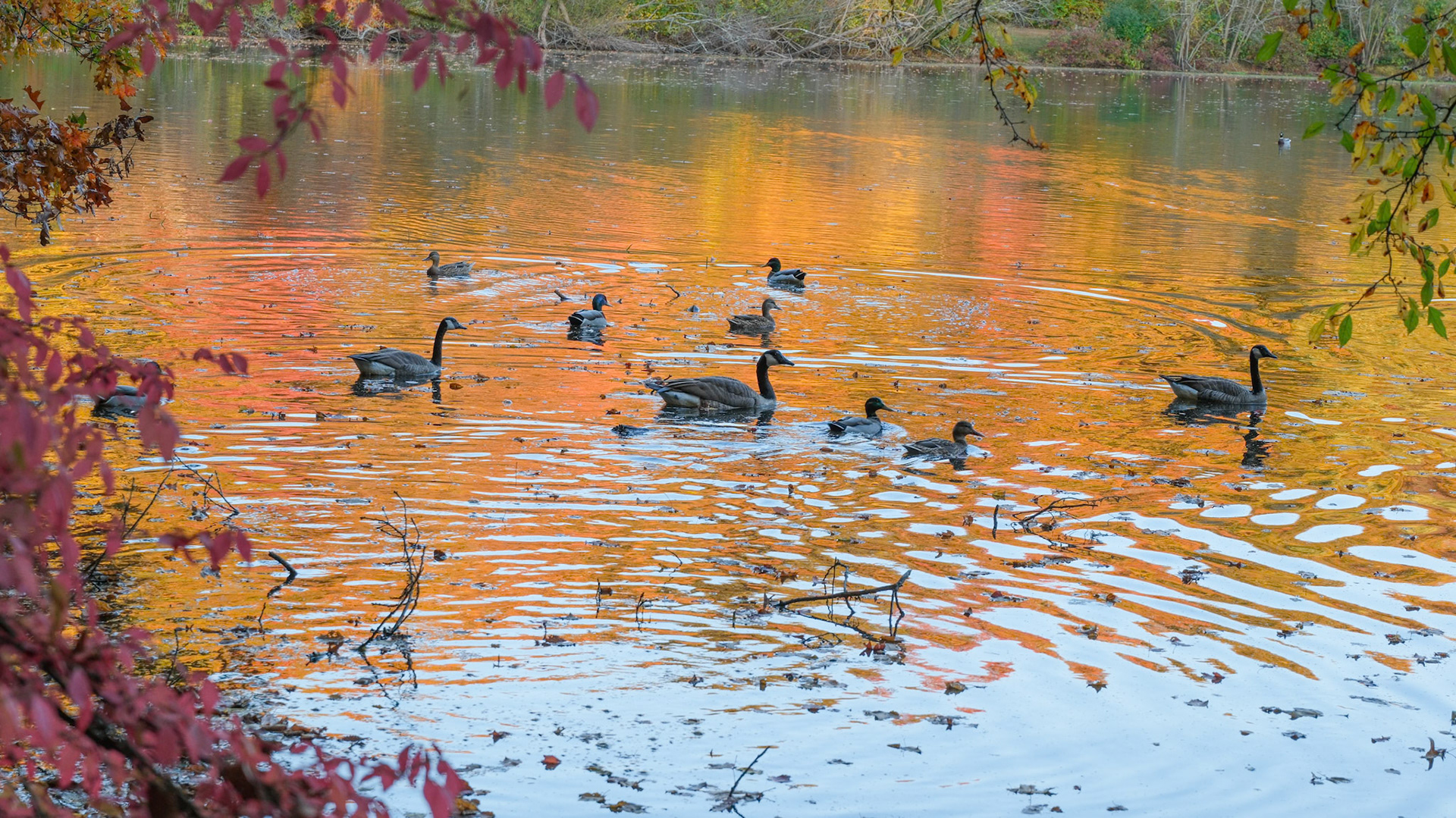 241022-314 Late Afternoon Swim