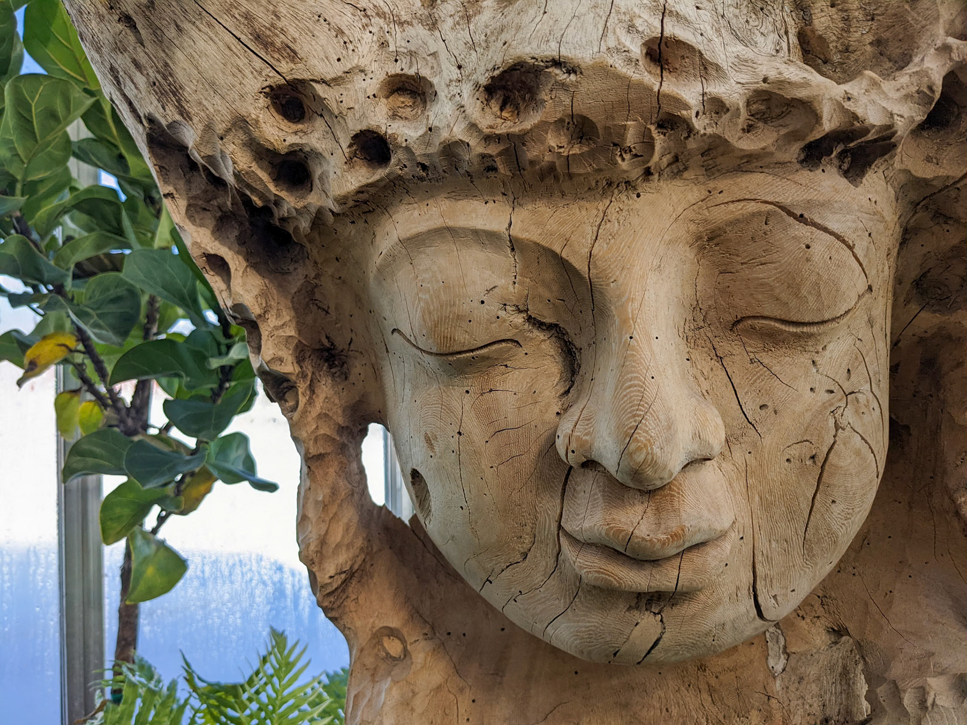 PXL_20220205_174142473