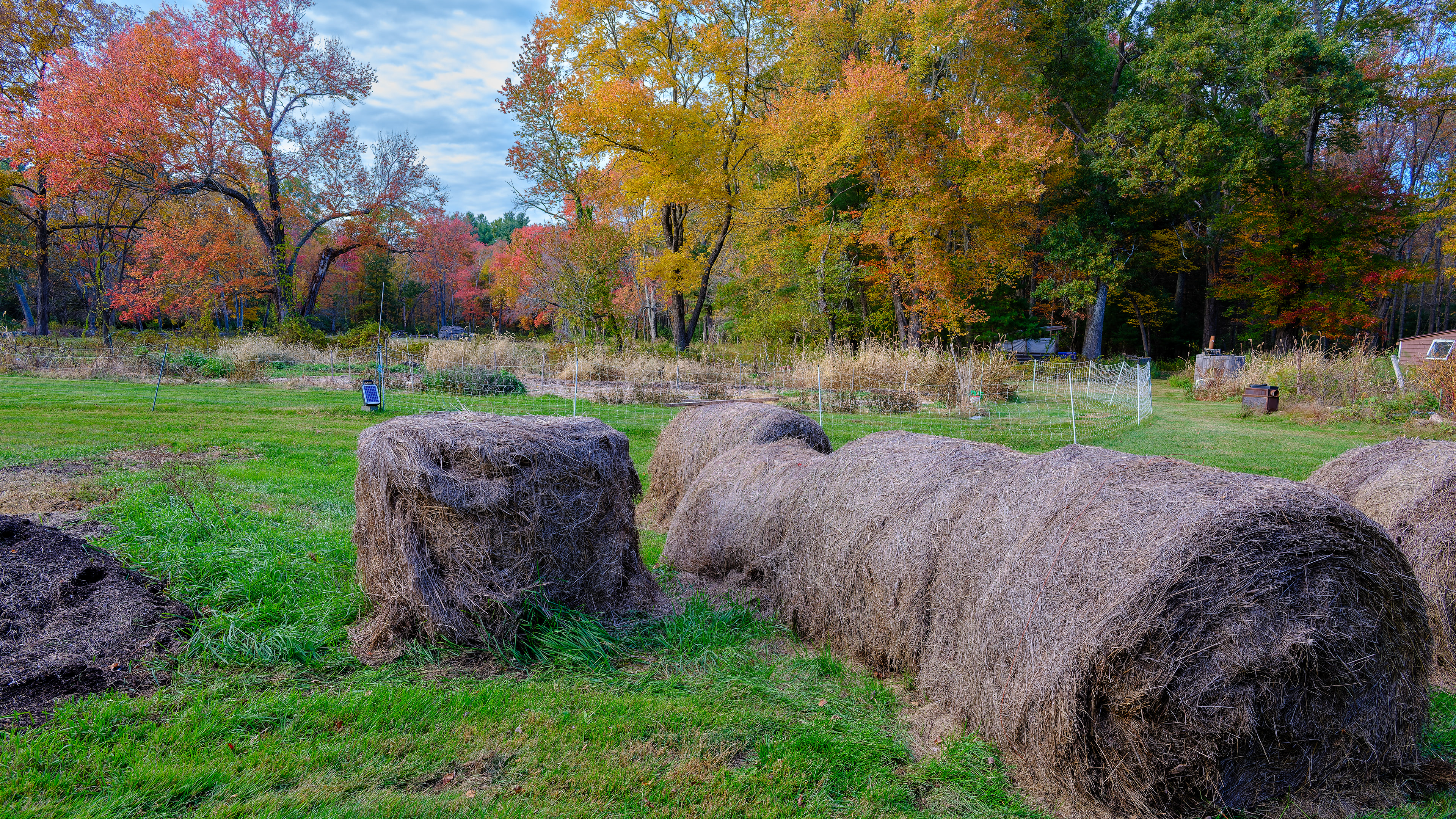 251018-099 Hay Bales