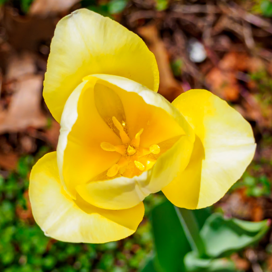 21502035 Open for Business