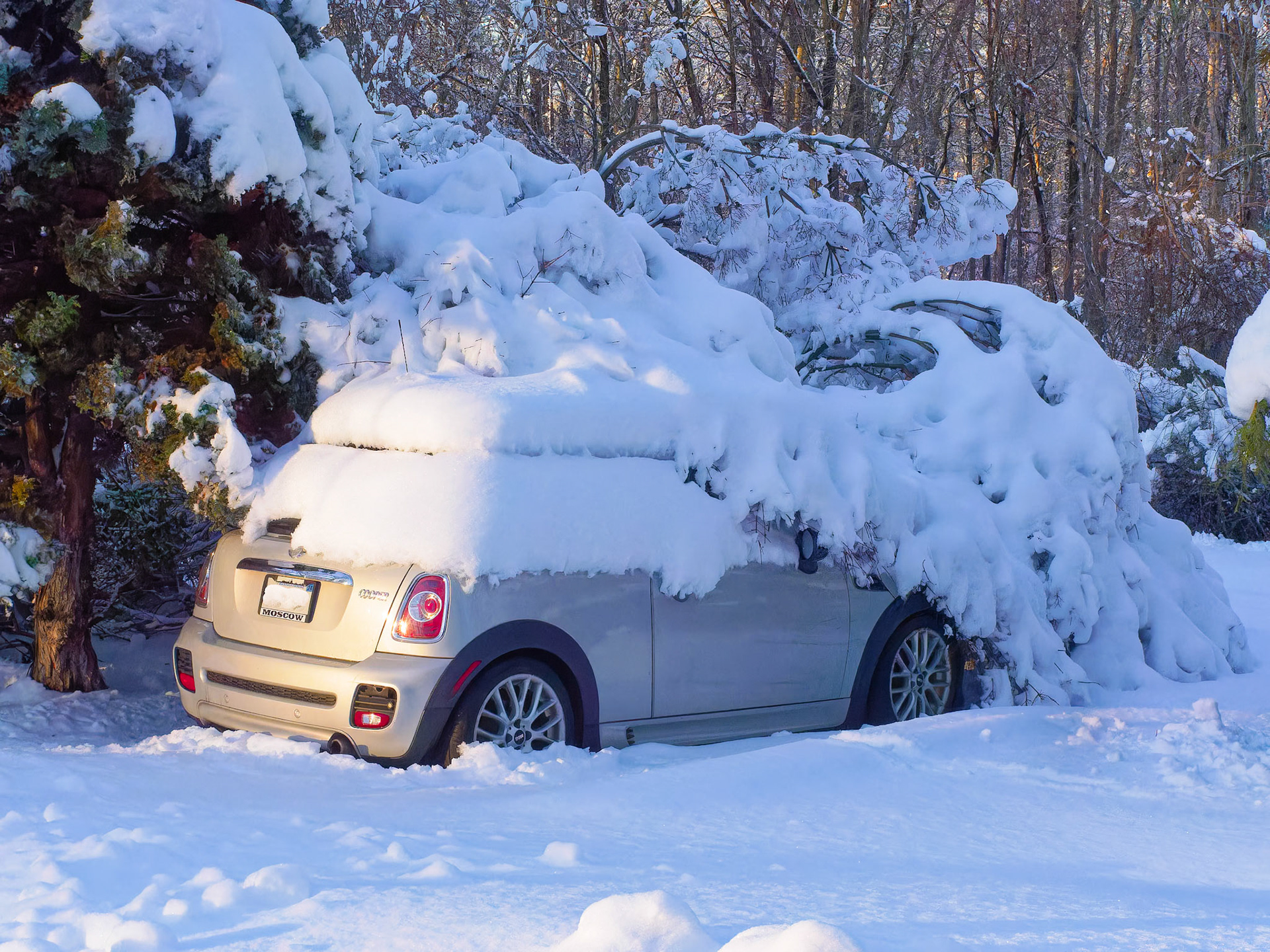 24108001 Long-term Parking