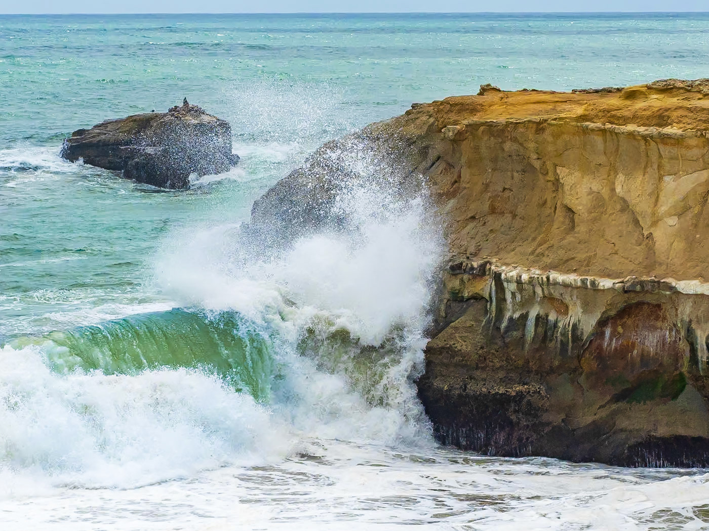 19516186 Powered by Nature