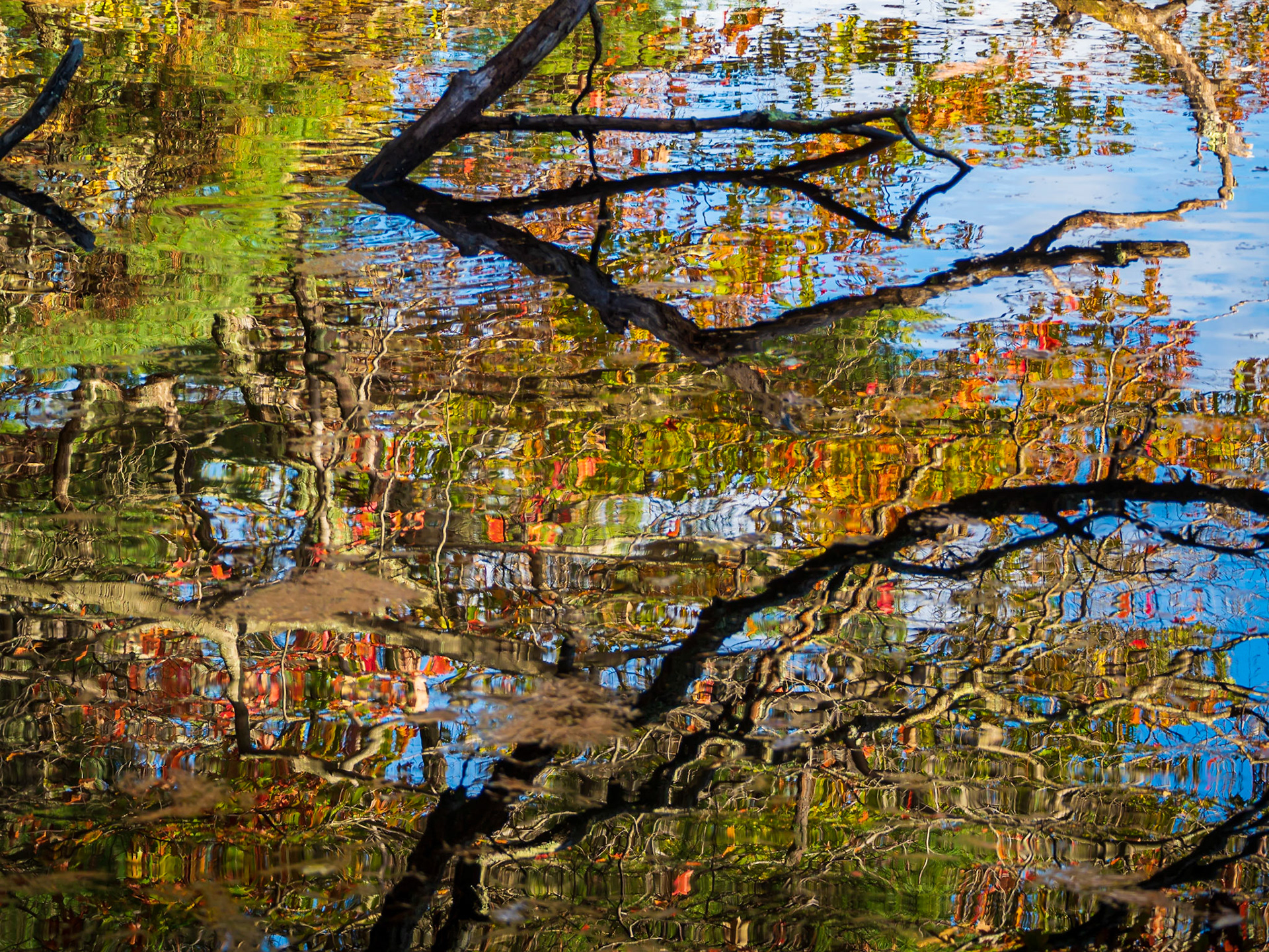 21A31098 Artist's Palette